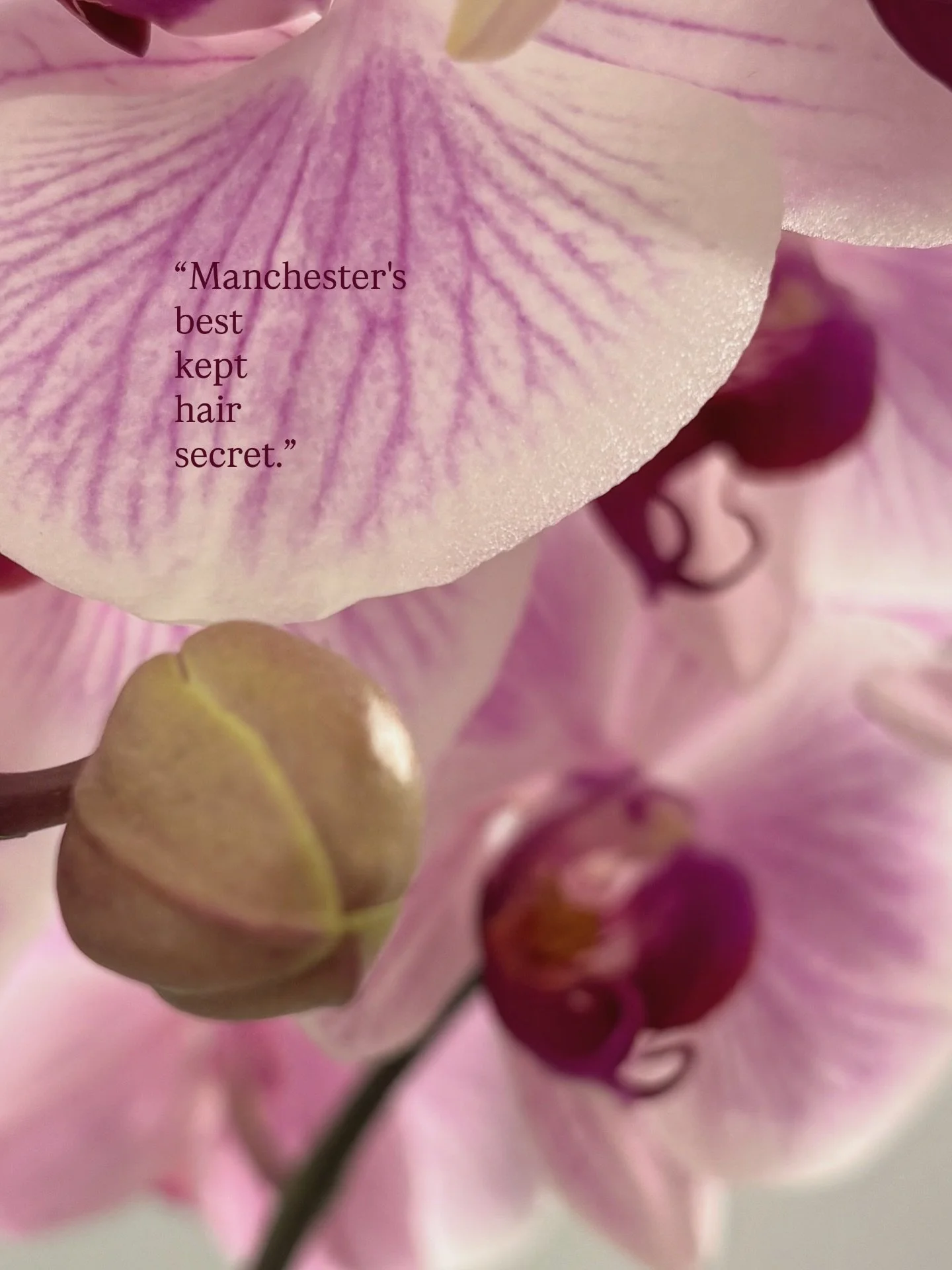 I feel so grateful when I receive real, unprompted reviews ✨

&ldquo;Manchester&rsquo;s best kept hair secret! I had the best experience with Vincenzo. He is a hair artist and knows exactly what will suit you. I was having such a bad experience tryin