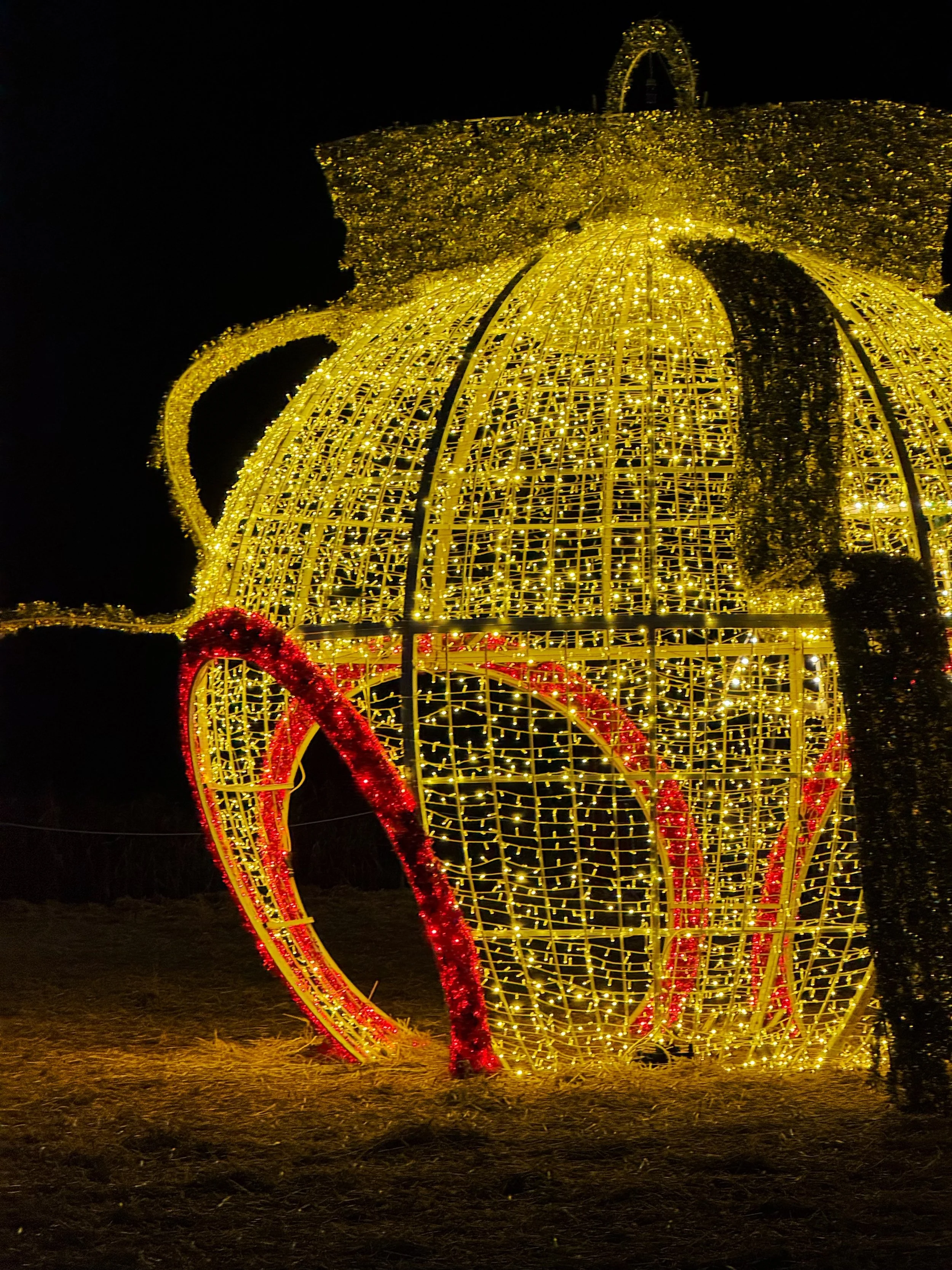 Brinkleys X Illuminate Oxfordshire Christmas Campaign