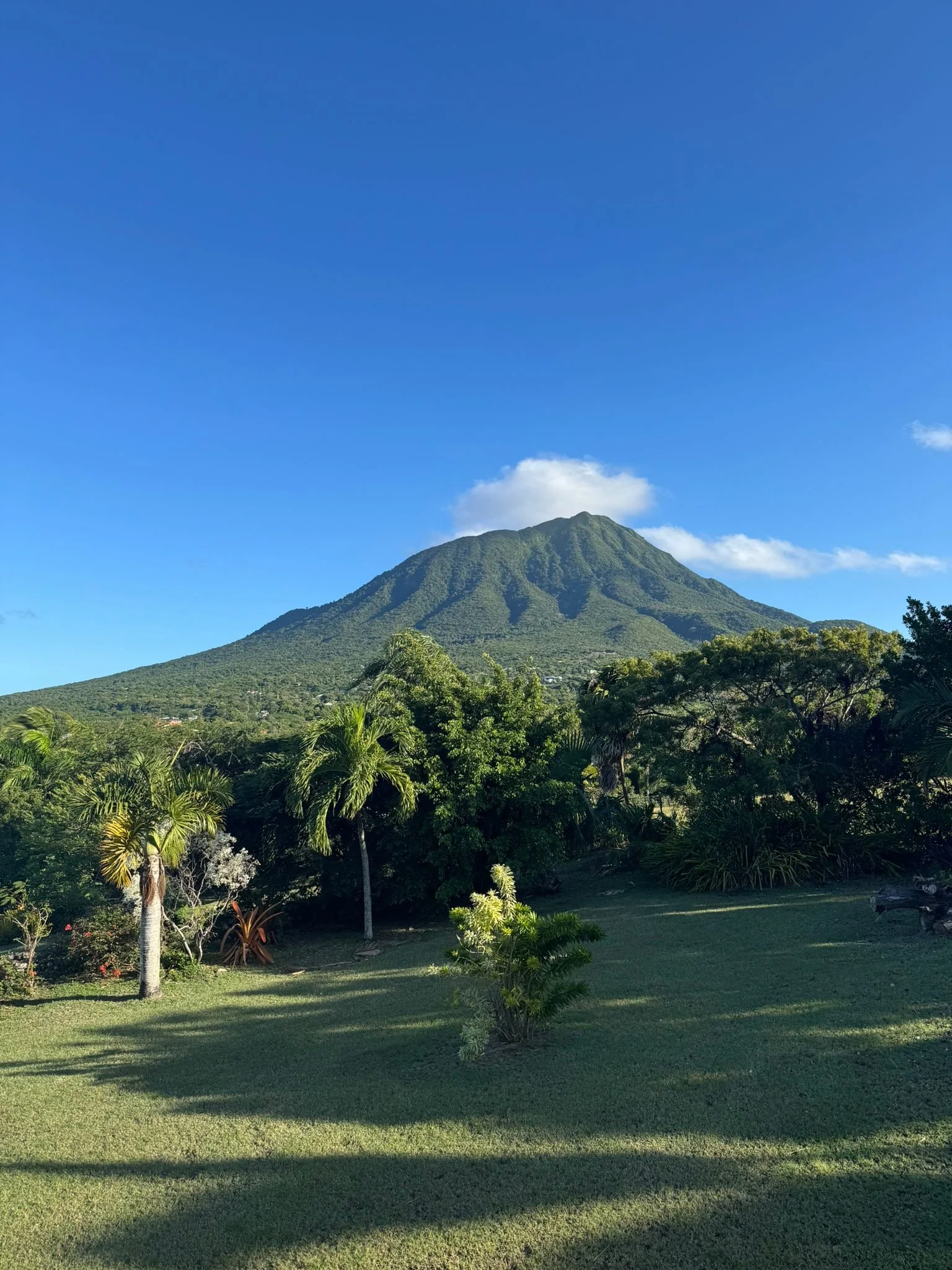Nevis Peak rising above lush tropical gardens, photographed from open lawns with palm trees in the foreground under a clear blue sky