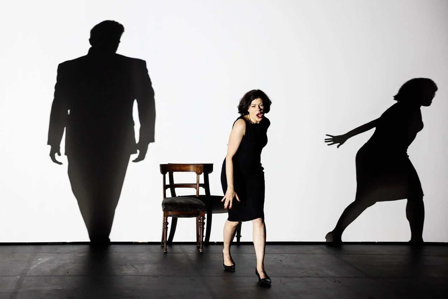 Heartbeat Opera&rsquo;s production of Samuel Barber&rsquo;s Vanessa
Directed by R.B. Schlather 
Presented as part of Williamstown Theatre Festival, July 2025 
Photos by Maria Baranova (@photo_by_baranova)