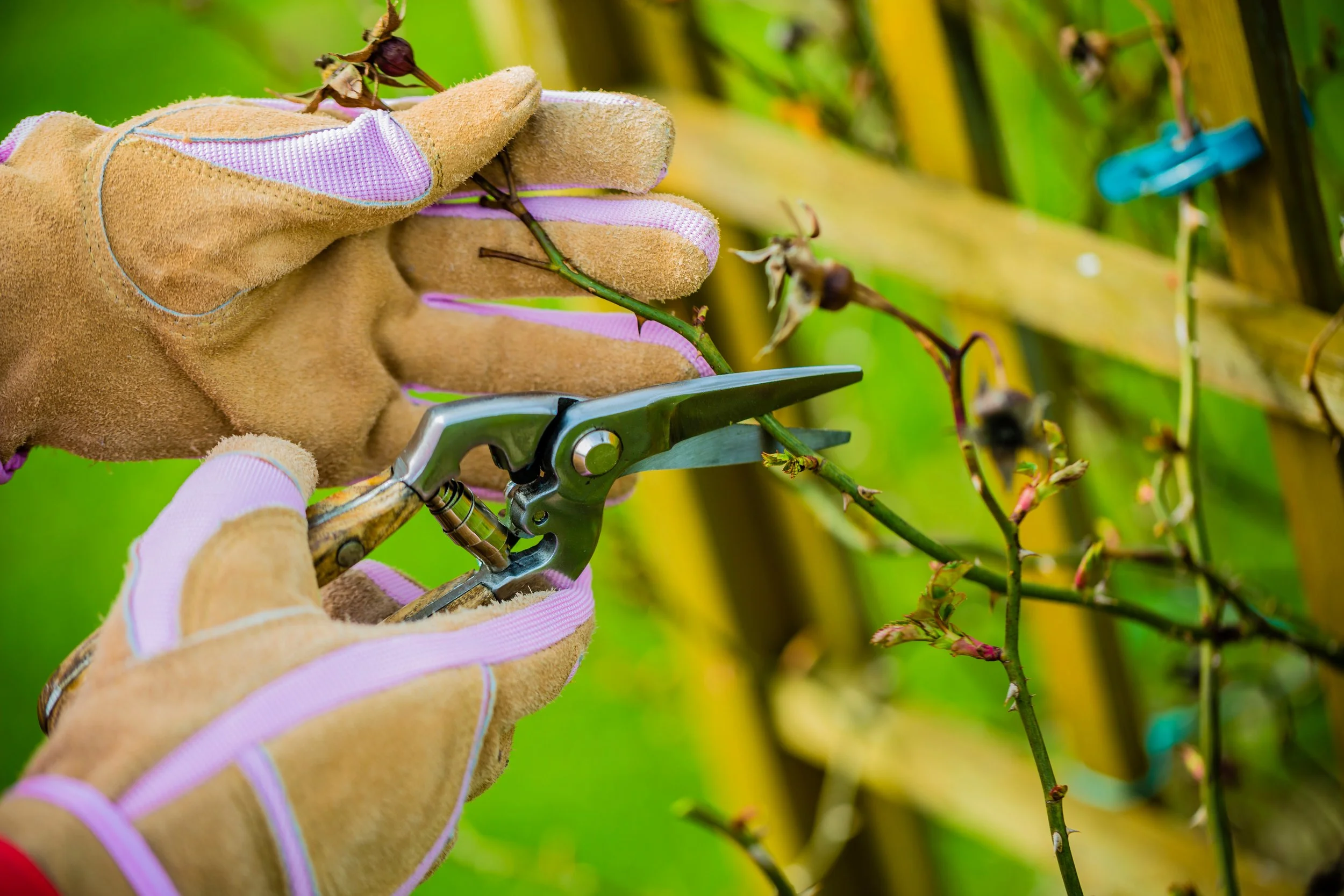 Leading Through the Seasons of Ministry, Part 3: Winter — The Season of Reflection and Pruning