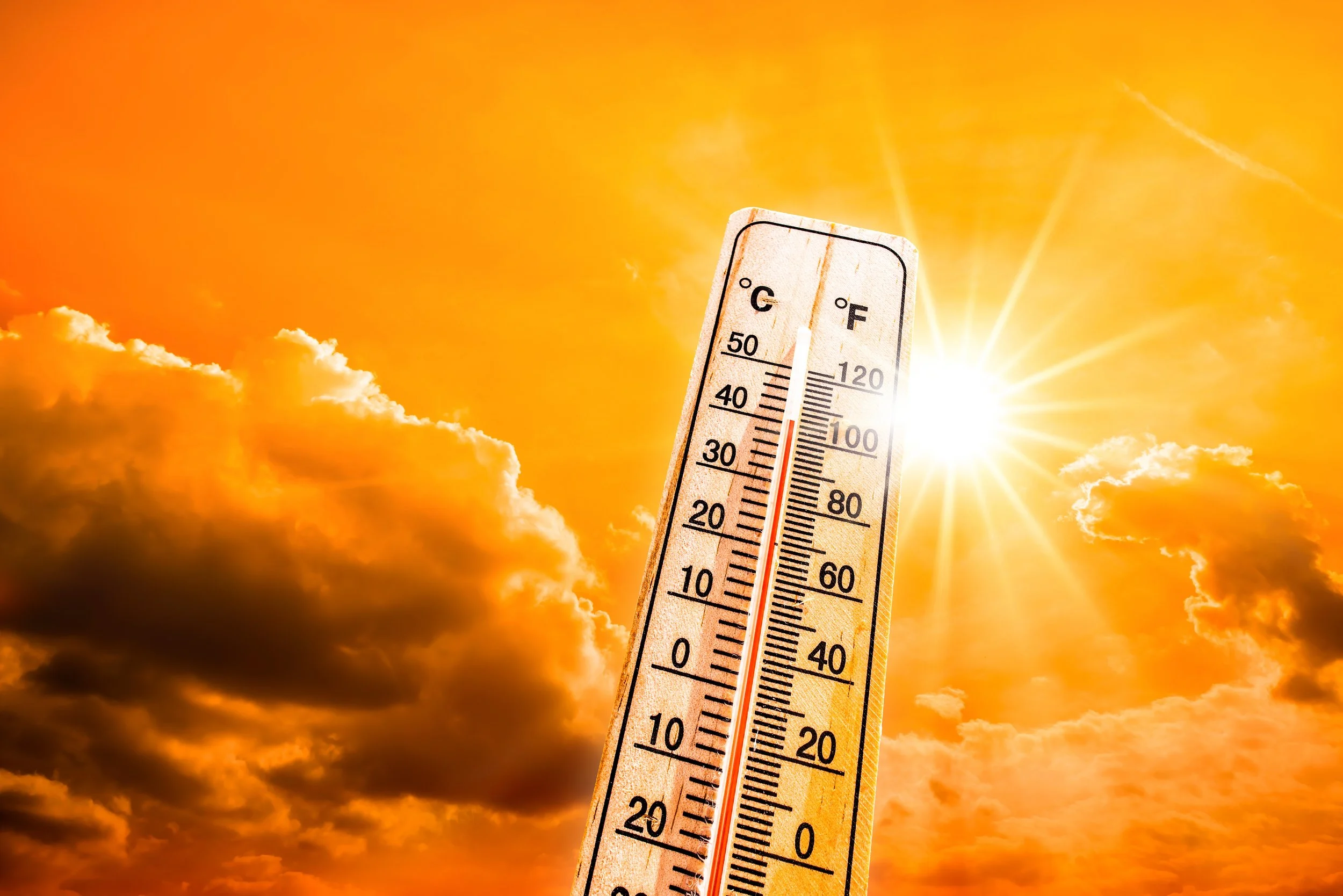 Heat Wave