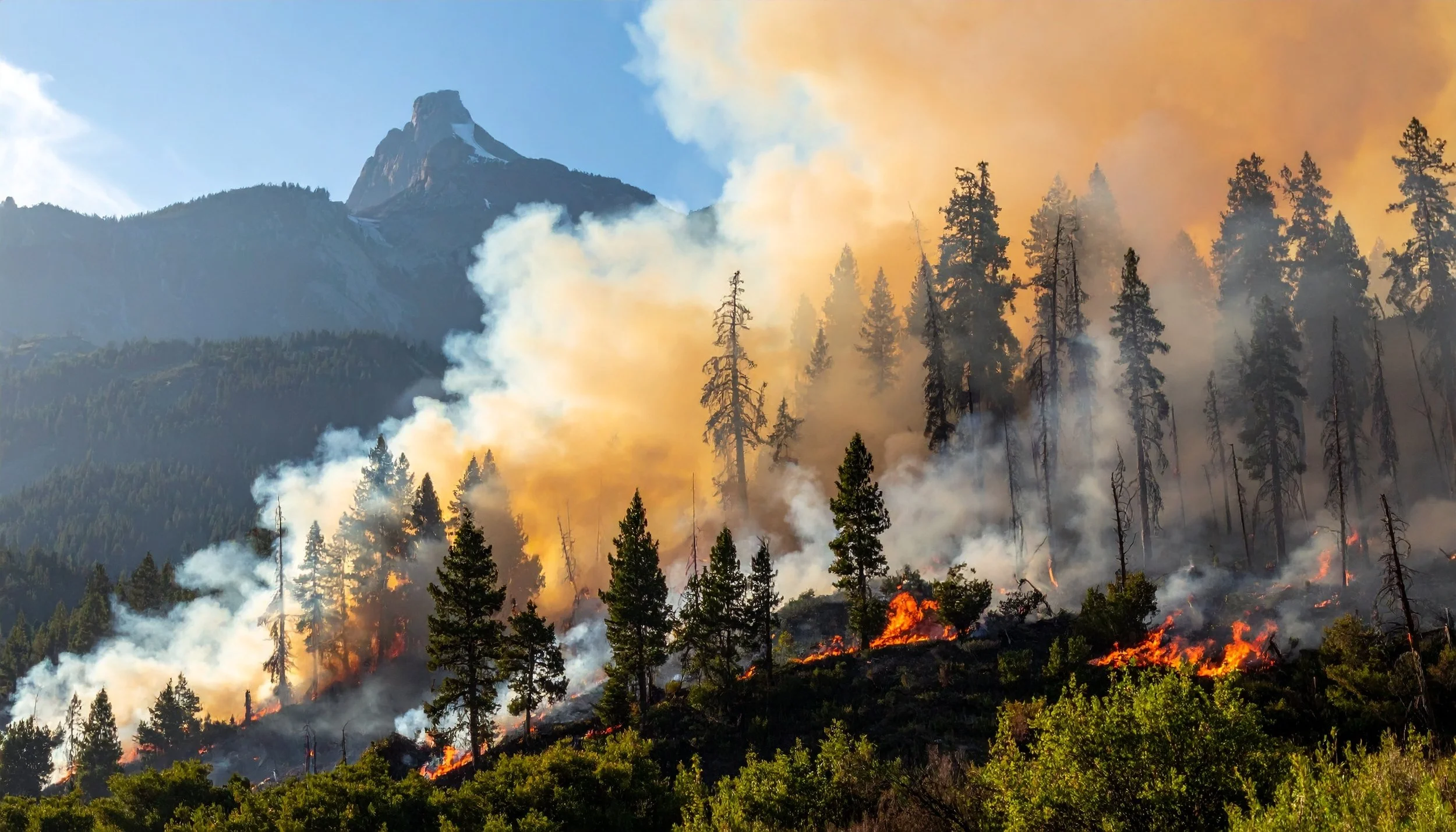 Wildfires on Both Sides of the Atlantic
