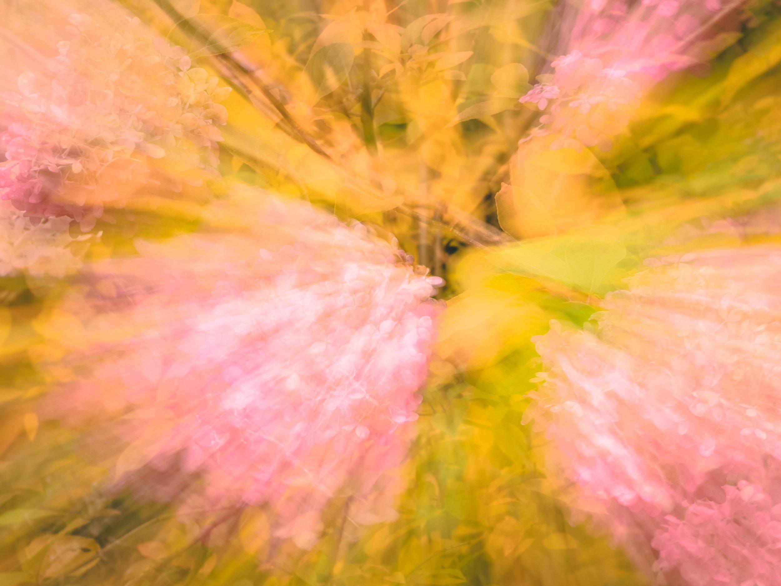 ICM 2.jpg