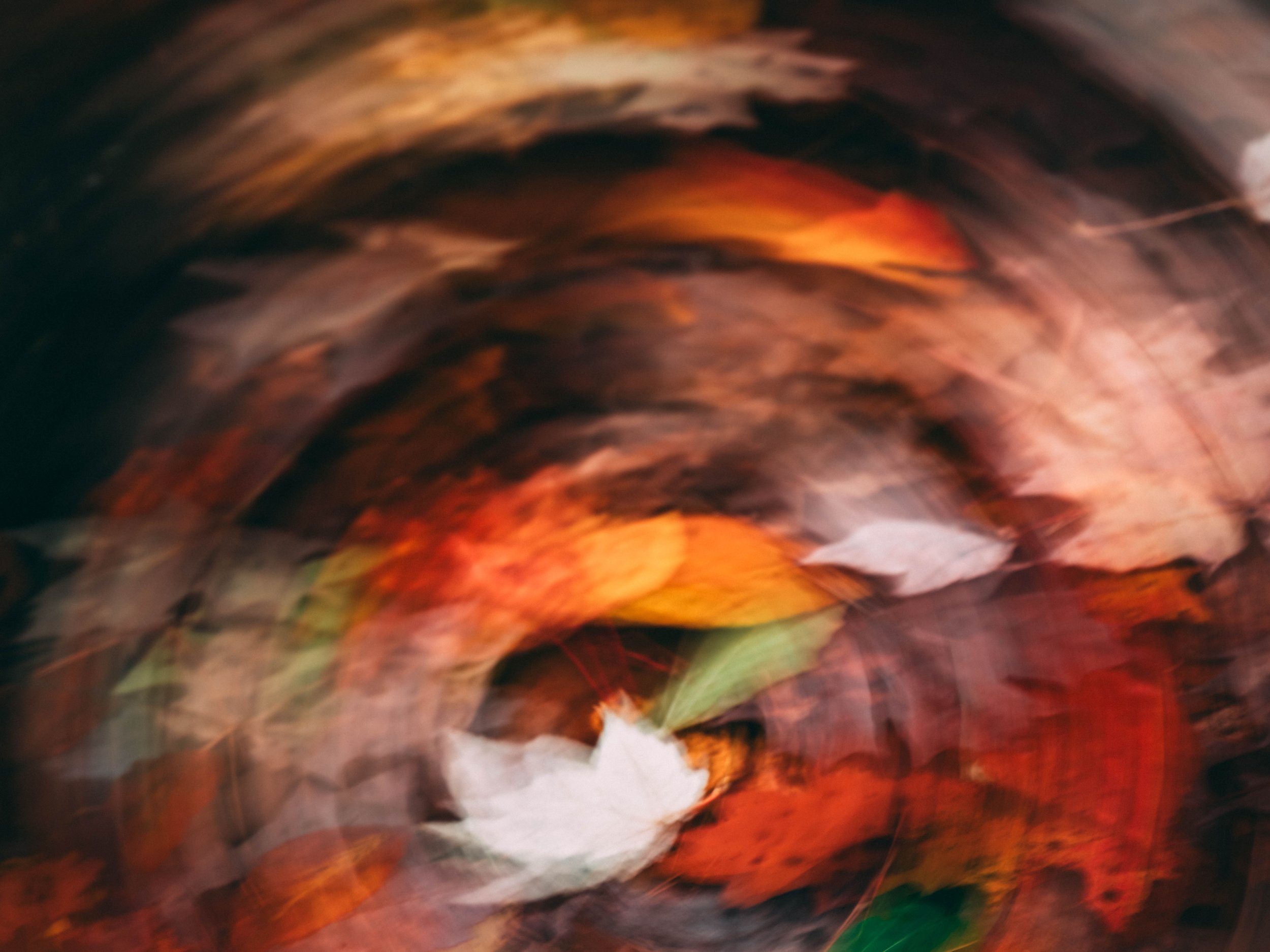 ICM spin.jpg