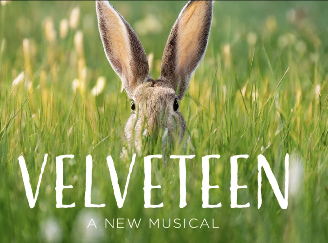 Velveteen, A New Musical on Tour