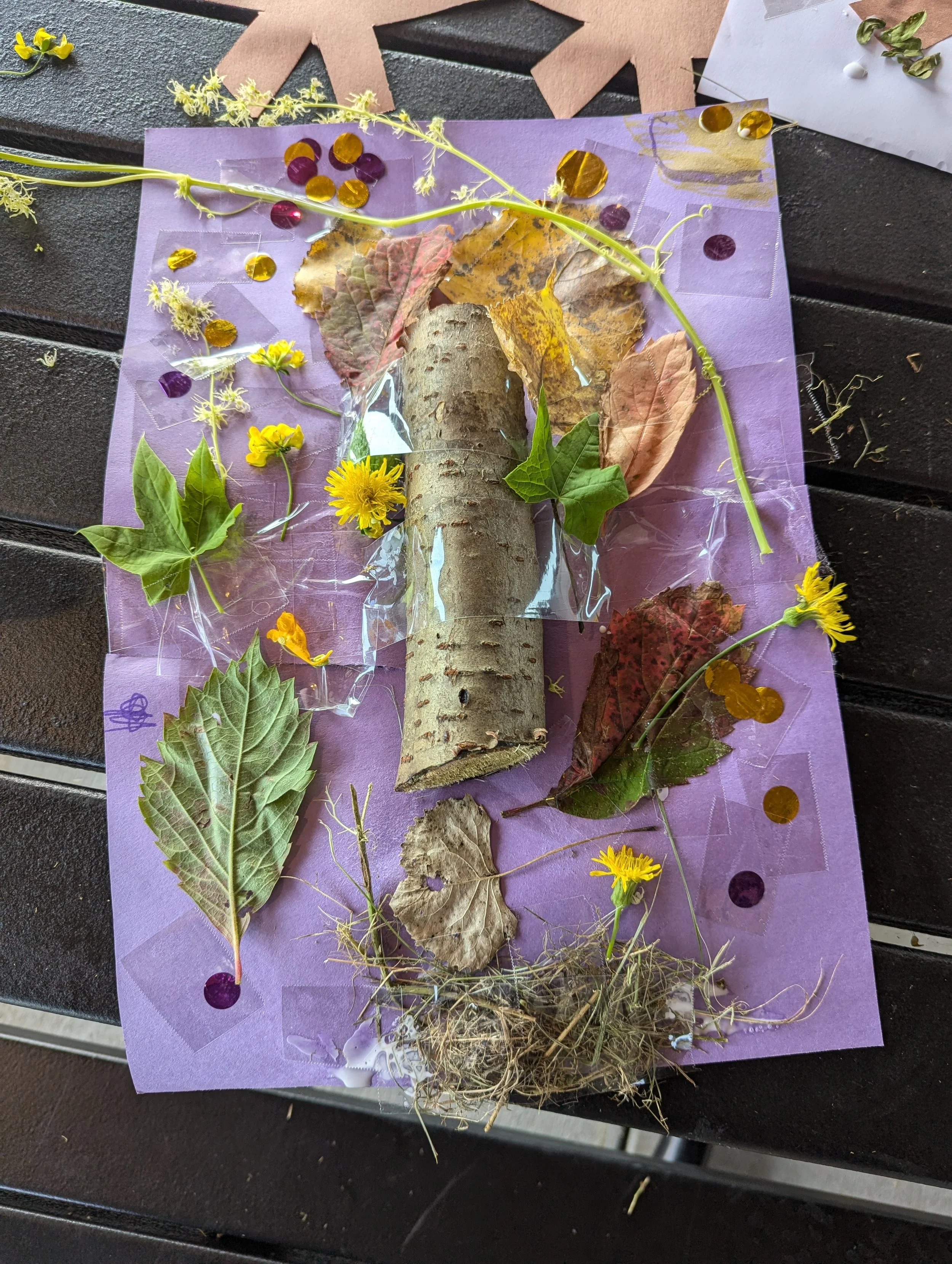 A collection of natural objects including a small log, leaves, flowers, and roots arranged on purple paper with decorative elements, possibly for a craft or botanical display.