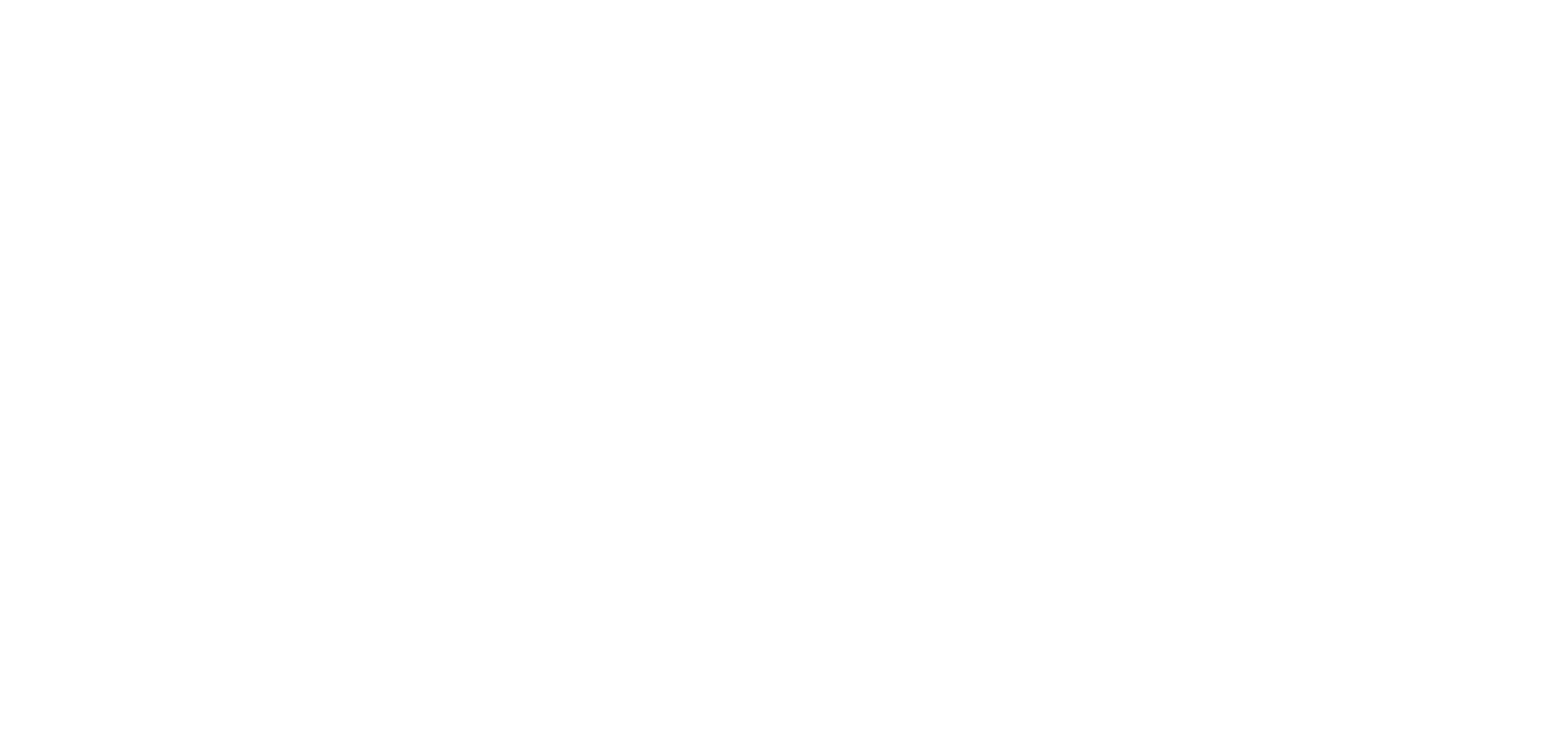 Primary Financial Advisors