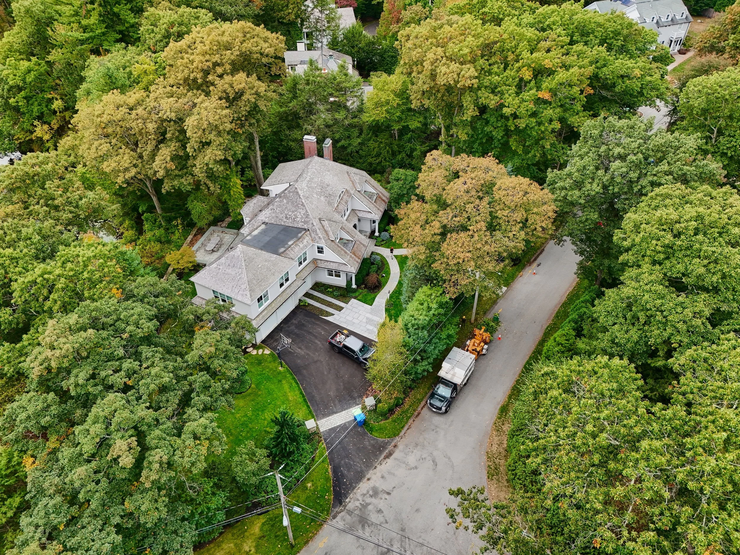 Construction and Trees: How to Protect High-Value Trees During Site Work