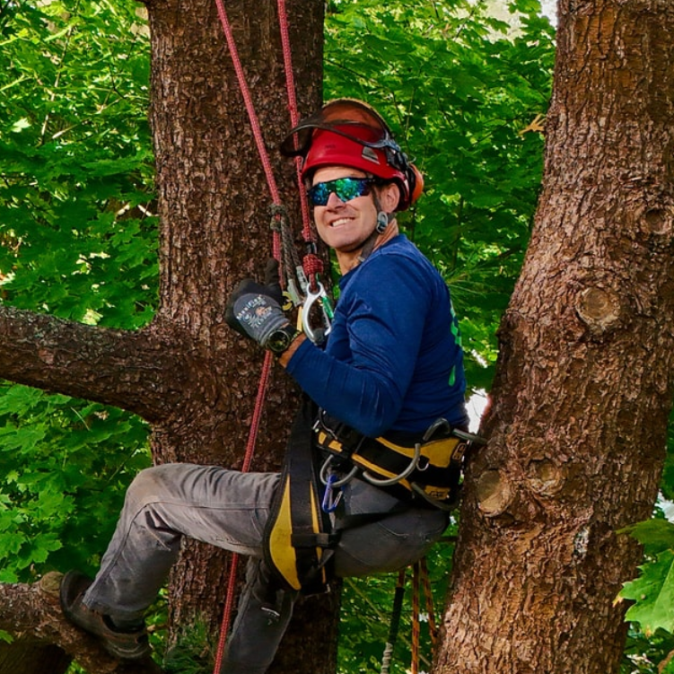 kevin-narbonne-peer-arboricultural-tree-work.png