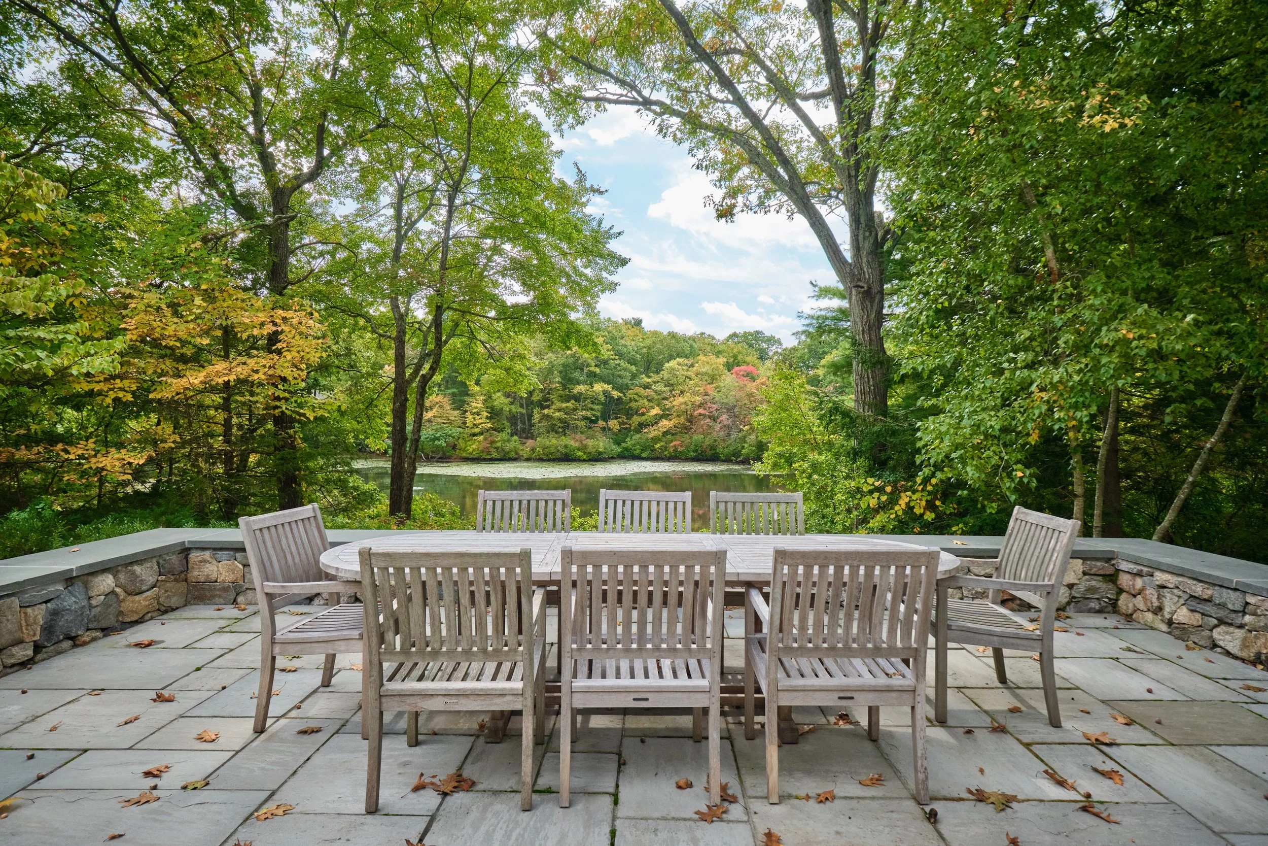 How to Develop a Long-Term Tree Management Plan for Your Estate