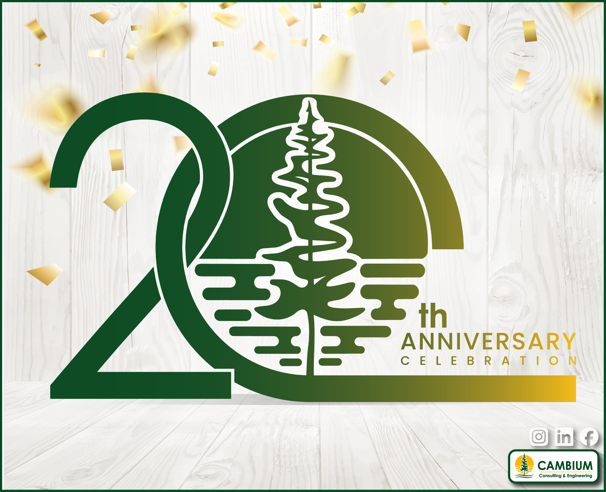 20 Years of Cambium: Honouring Our Roots, Embracing What’s Next