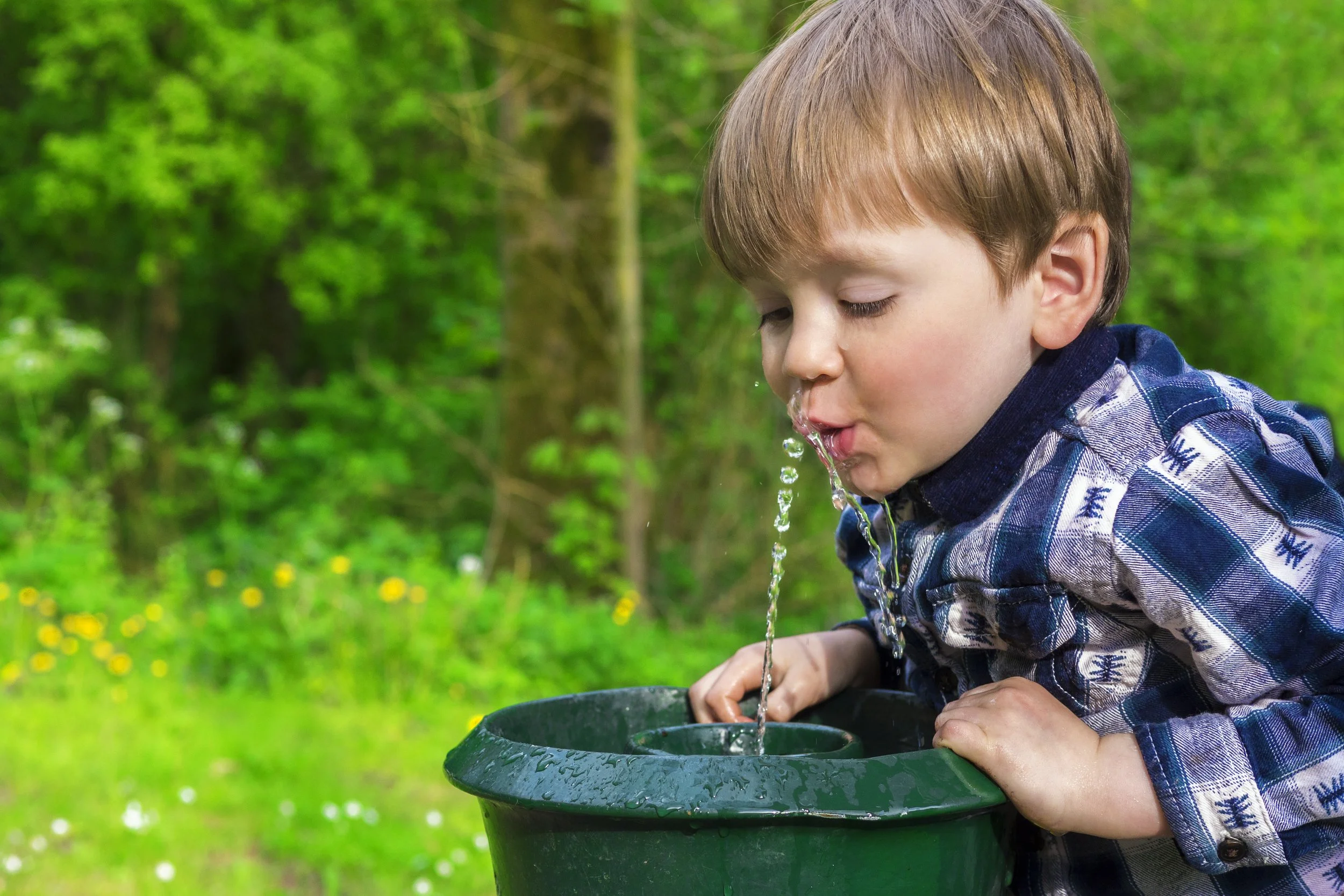 Drinking Water Protection in Ontario