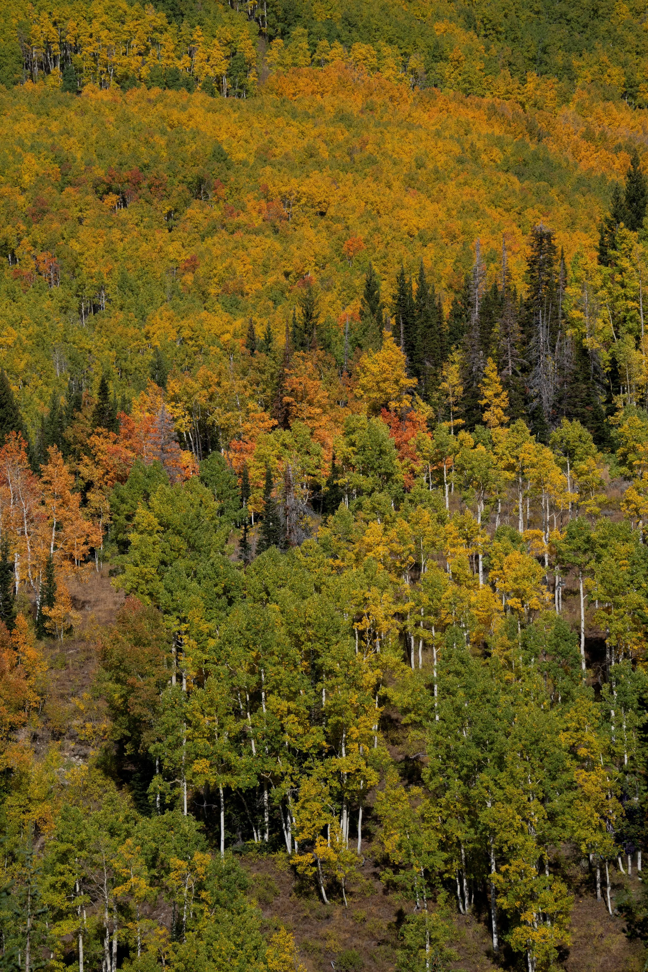 Northern Ontario