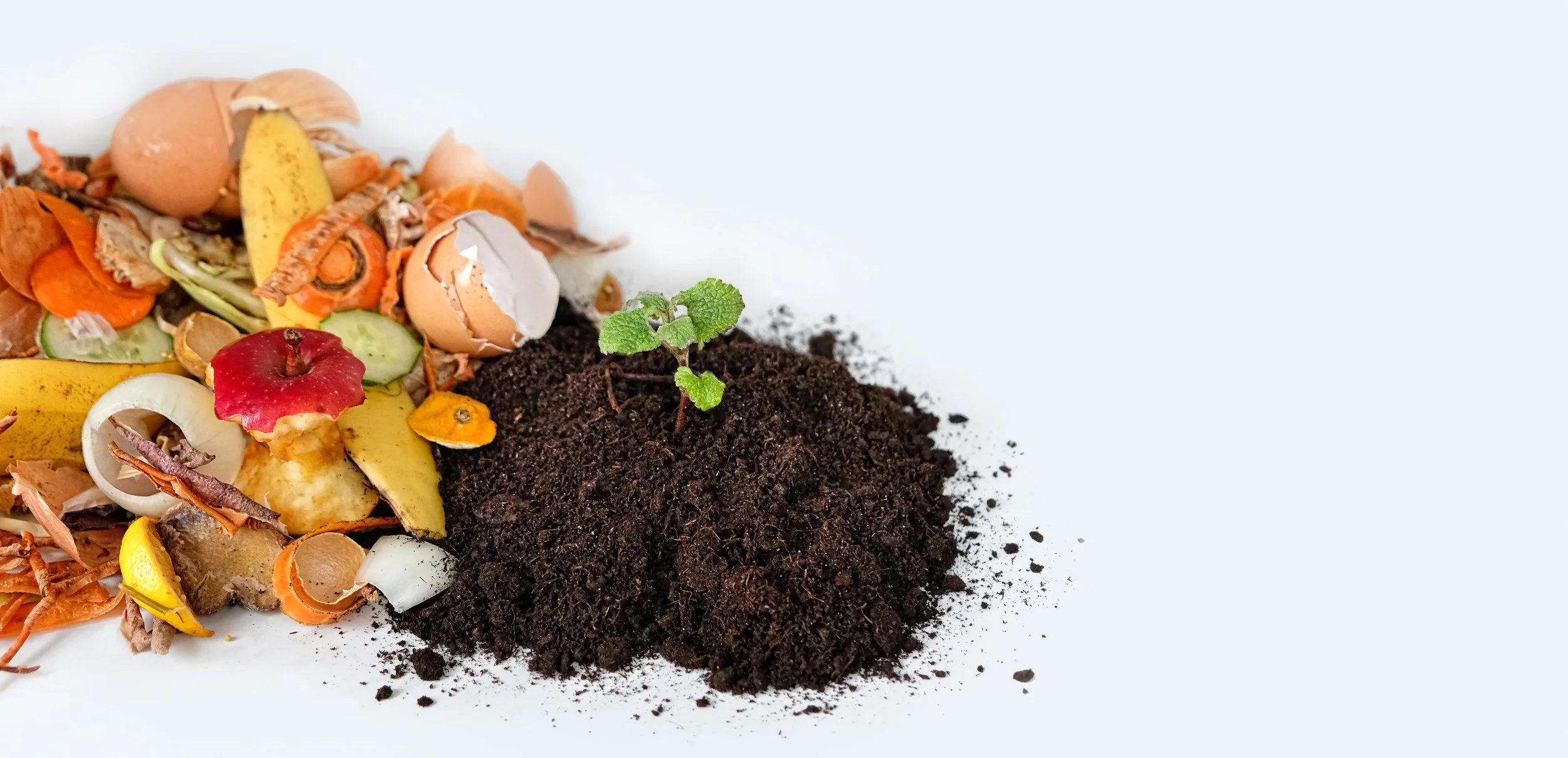 Compost