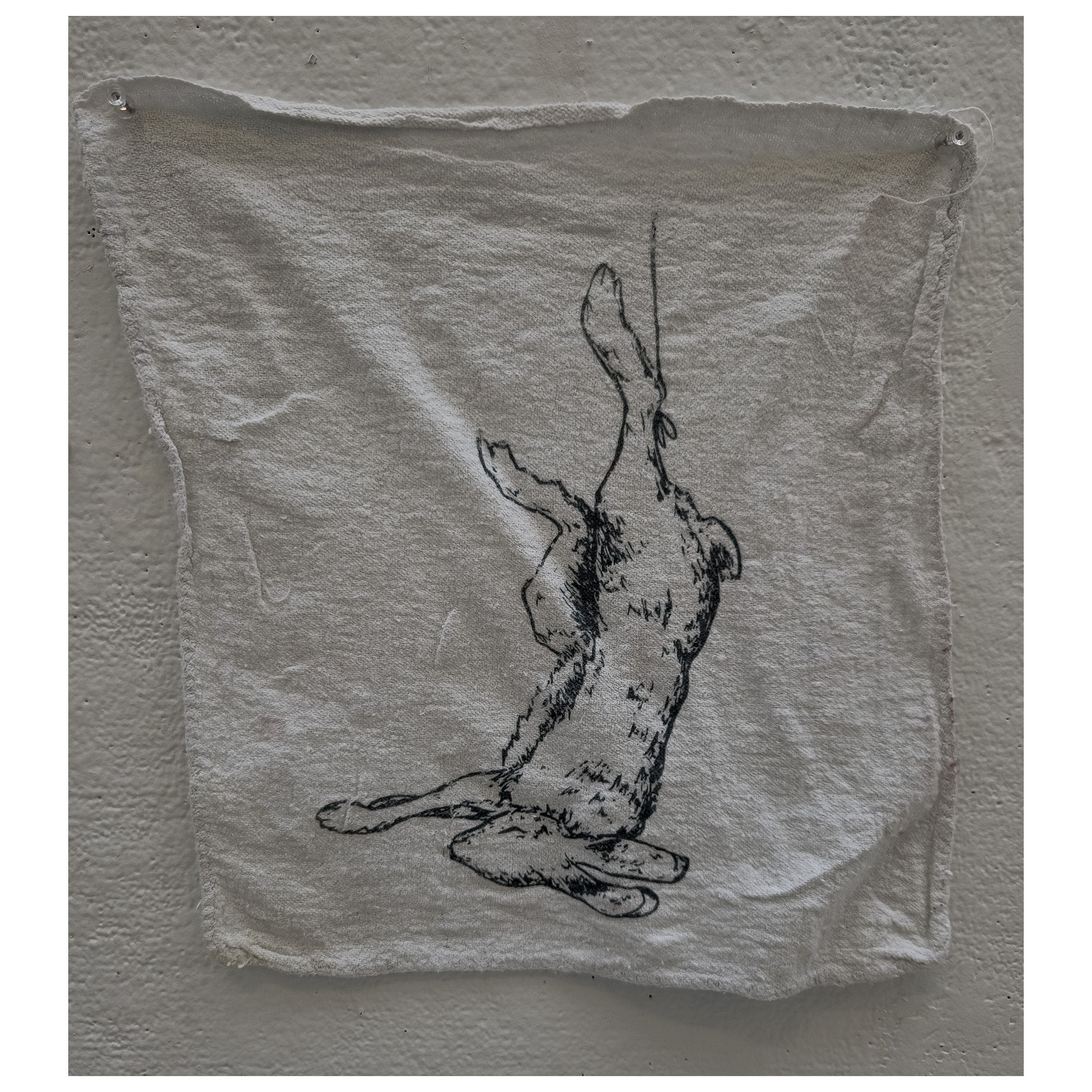 Shop towel expiriment_bunny transfer.jpg