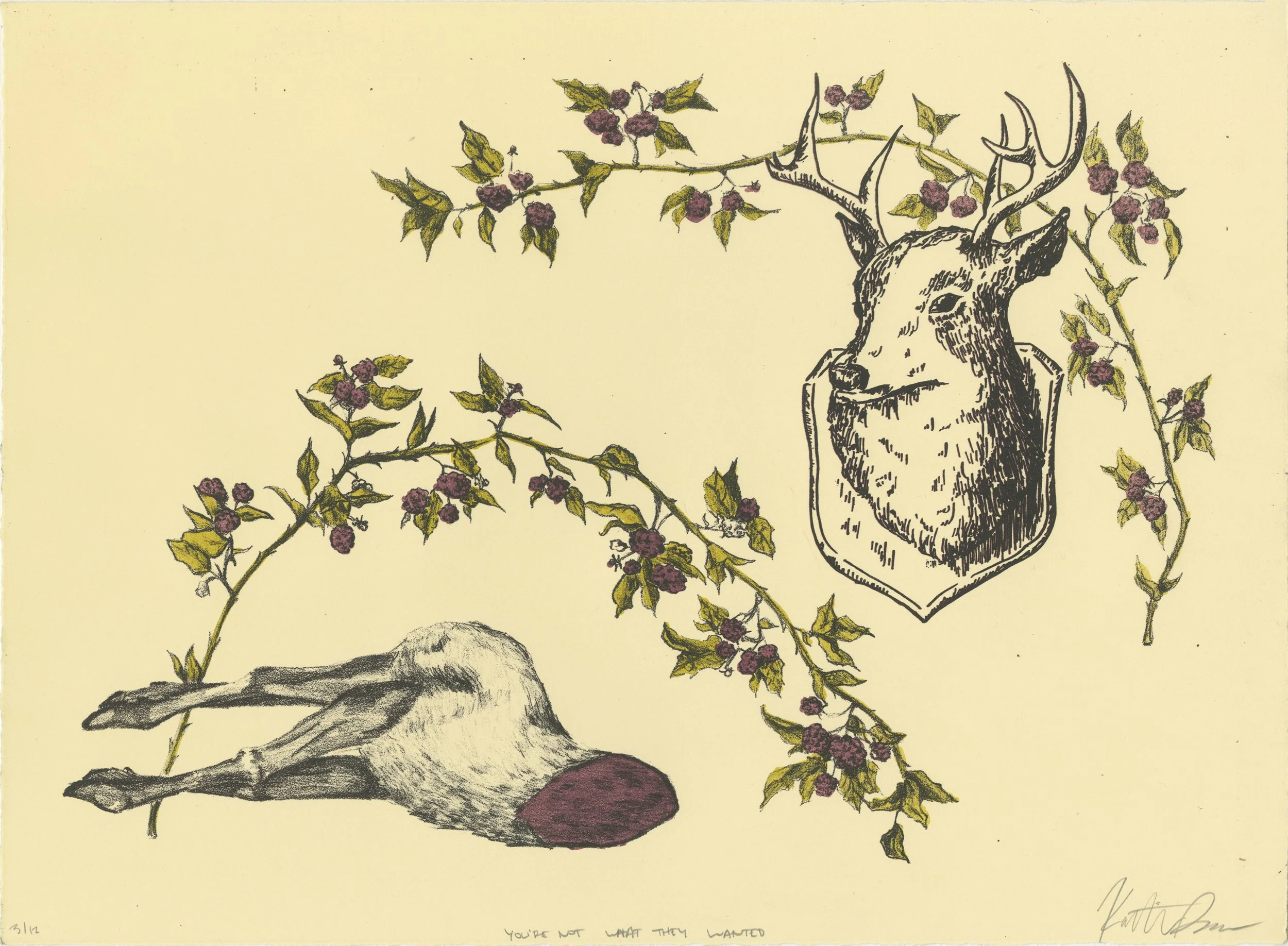 You're Not What They Wanted, 15x11 in Lithograph