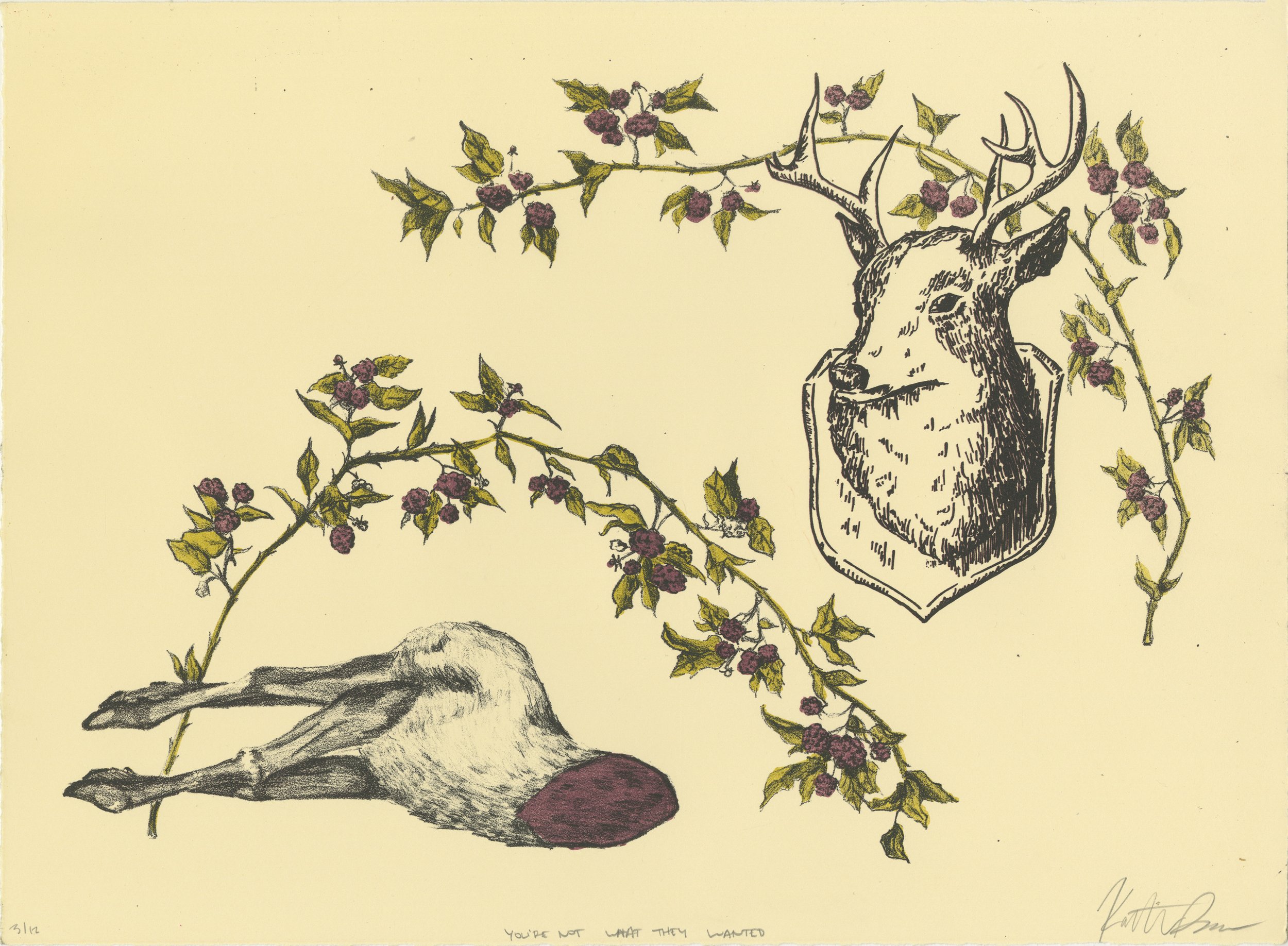 You're Not What They Wanted - 11 x 15 in Lithograph