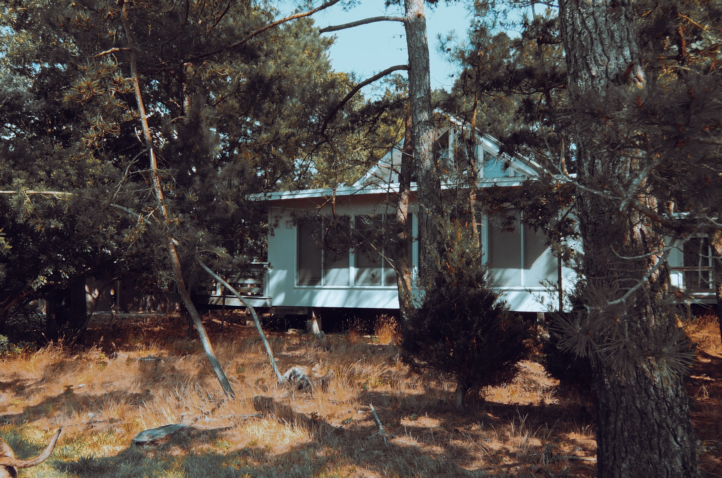 DSCF0112.jpg