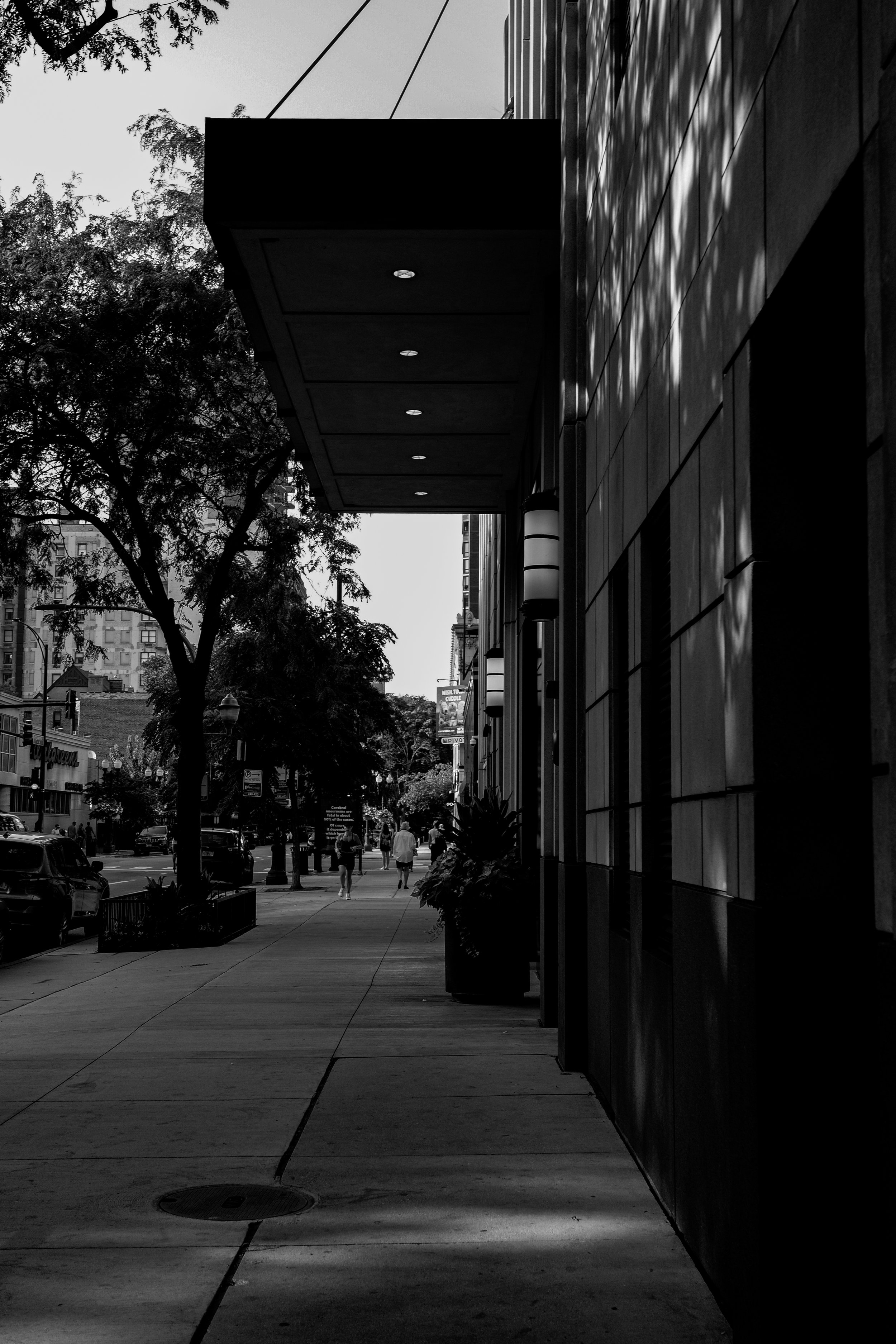 R0001747.jpg