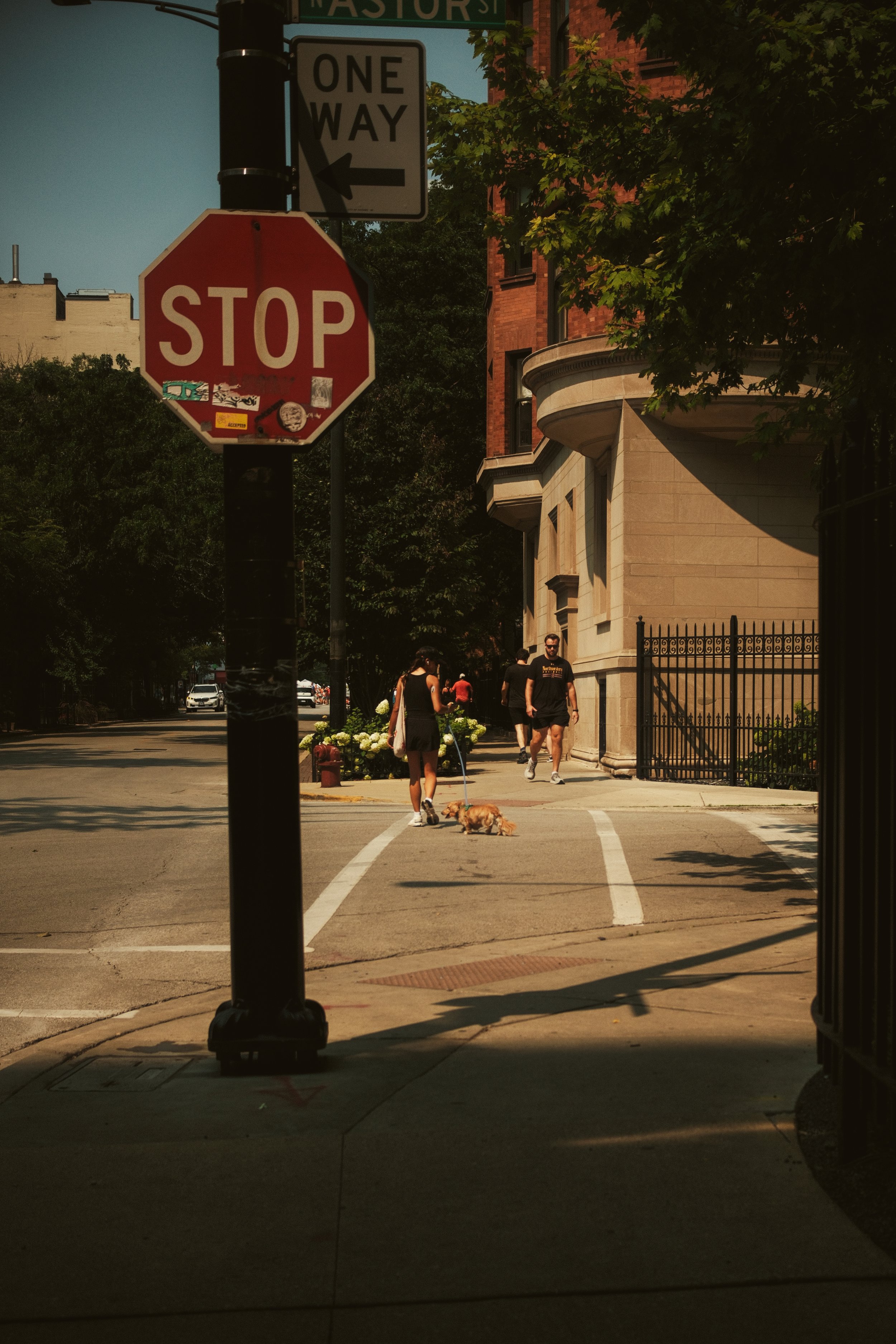 DSCF1512.jpg