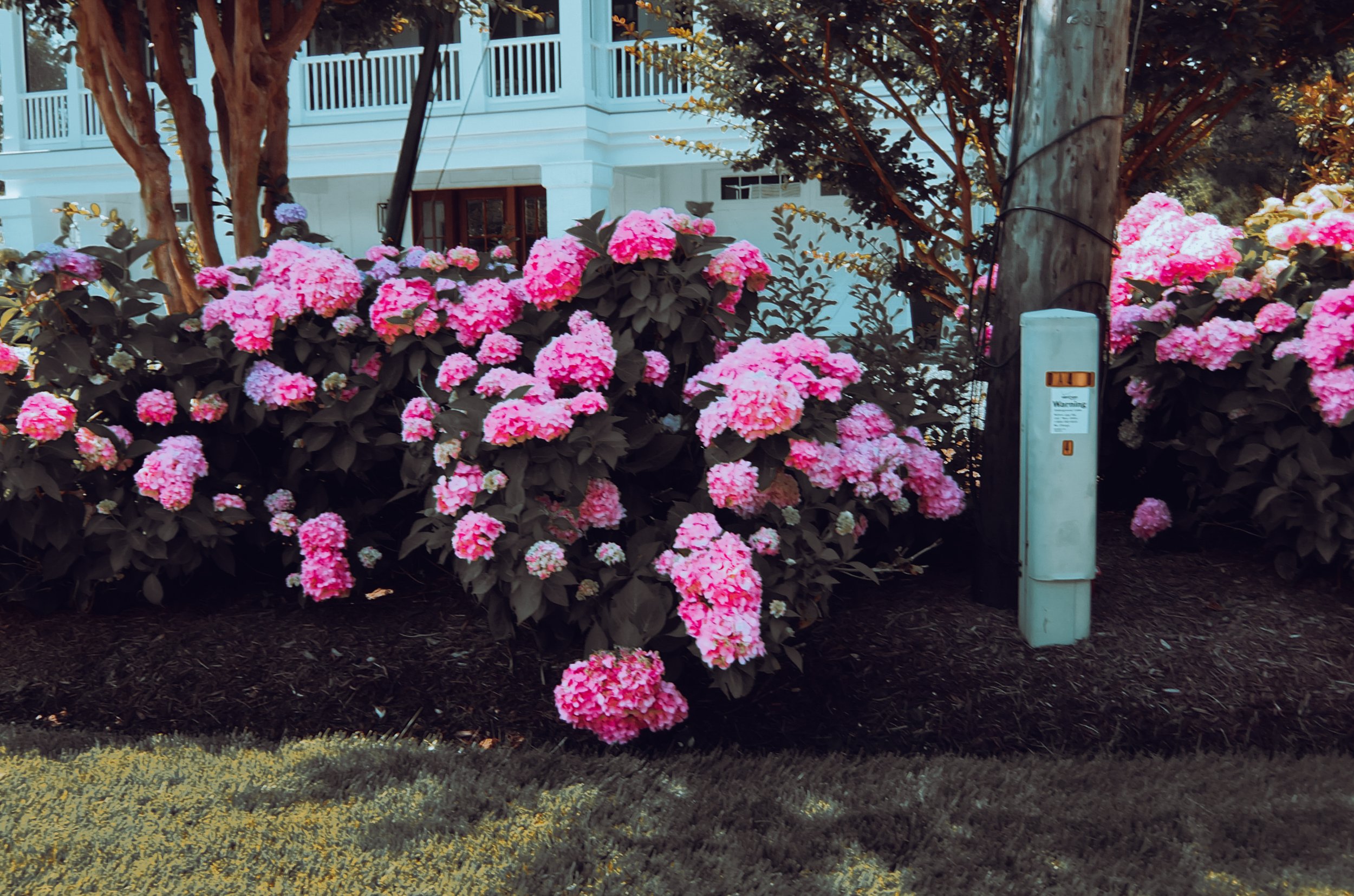 DSCF0115.jpg