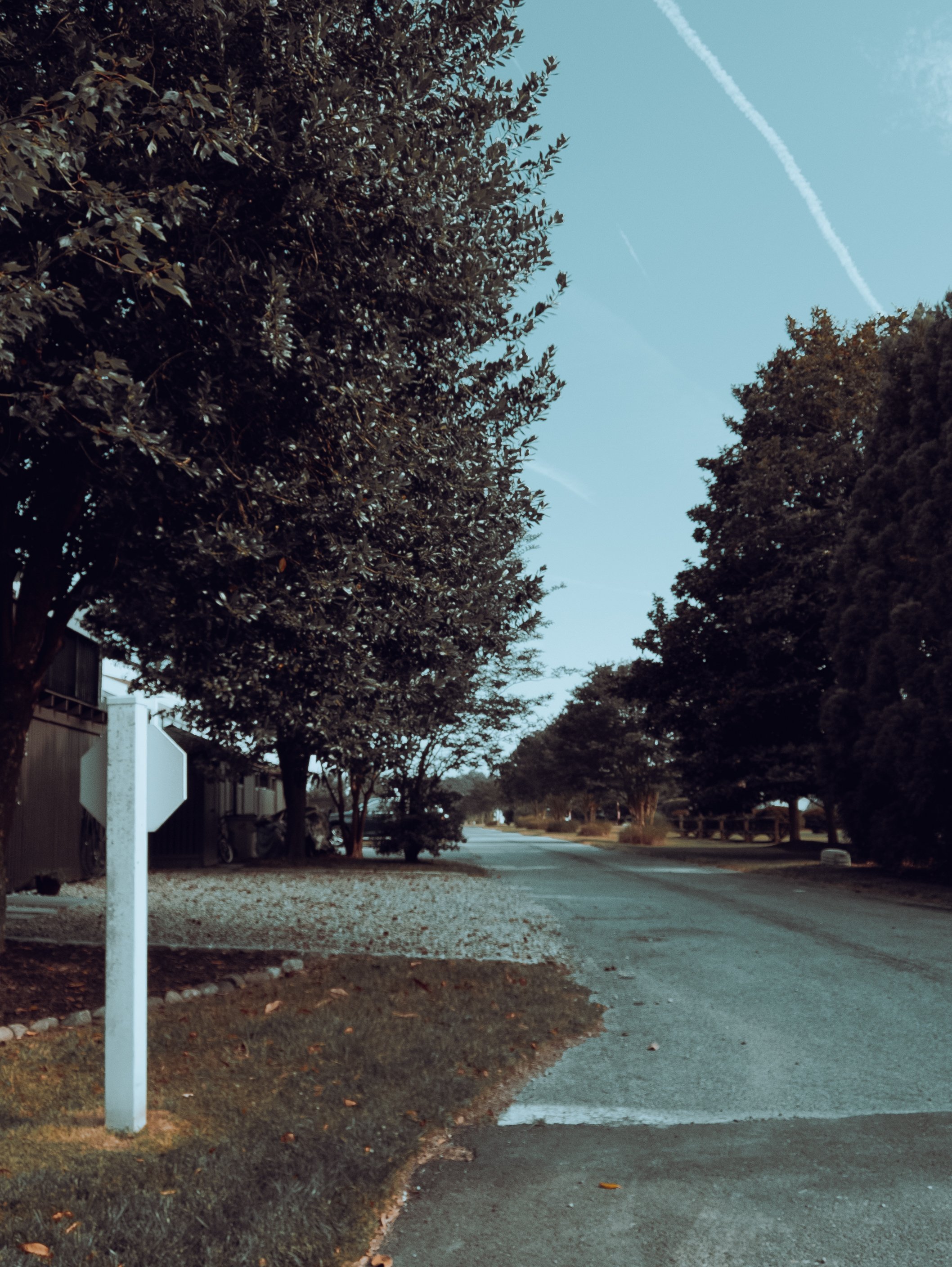 DSCF0240.jpg