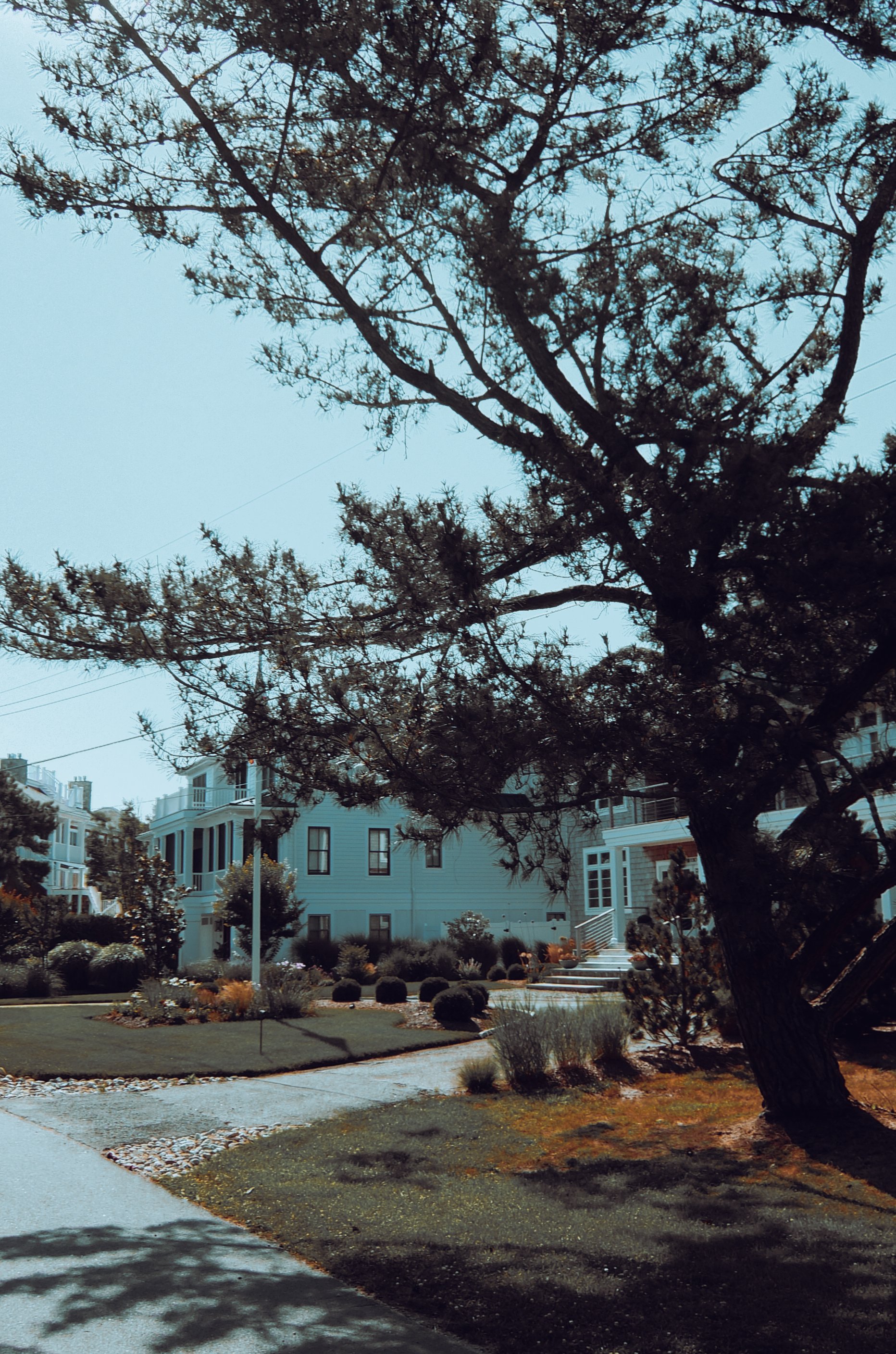 DSCF0114.jpg