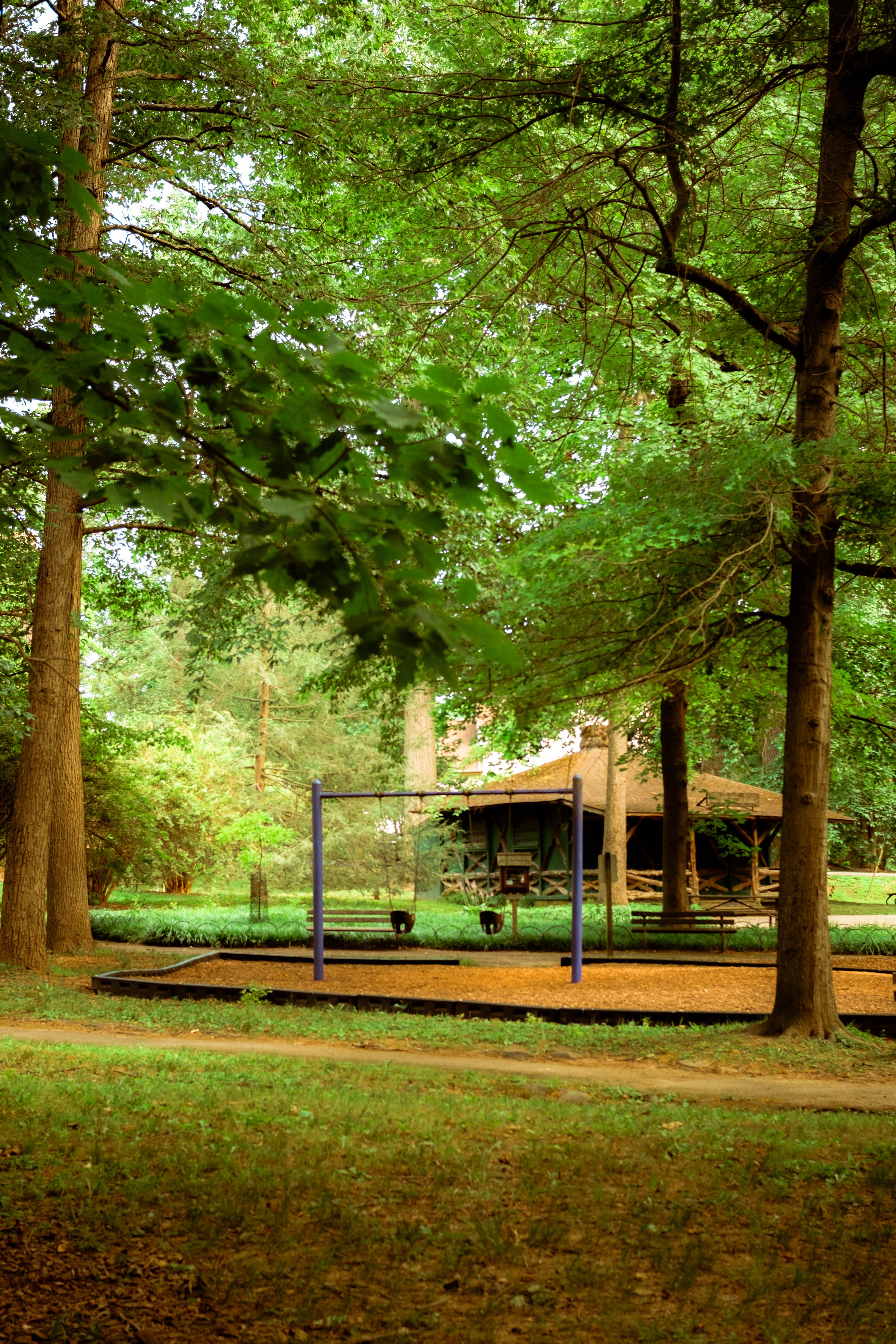 DSCF0440.jpg