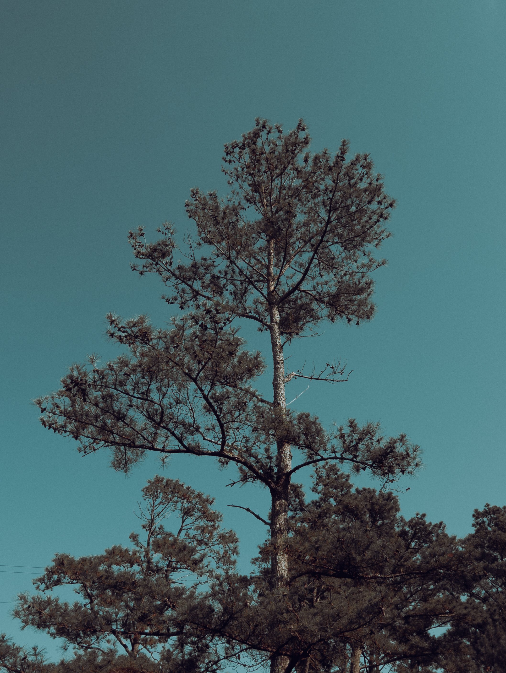 DSCF0201.jpg