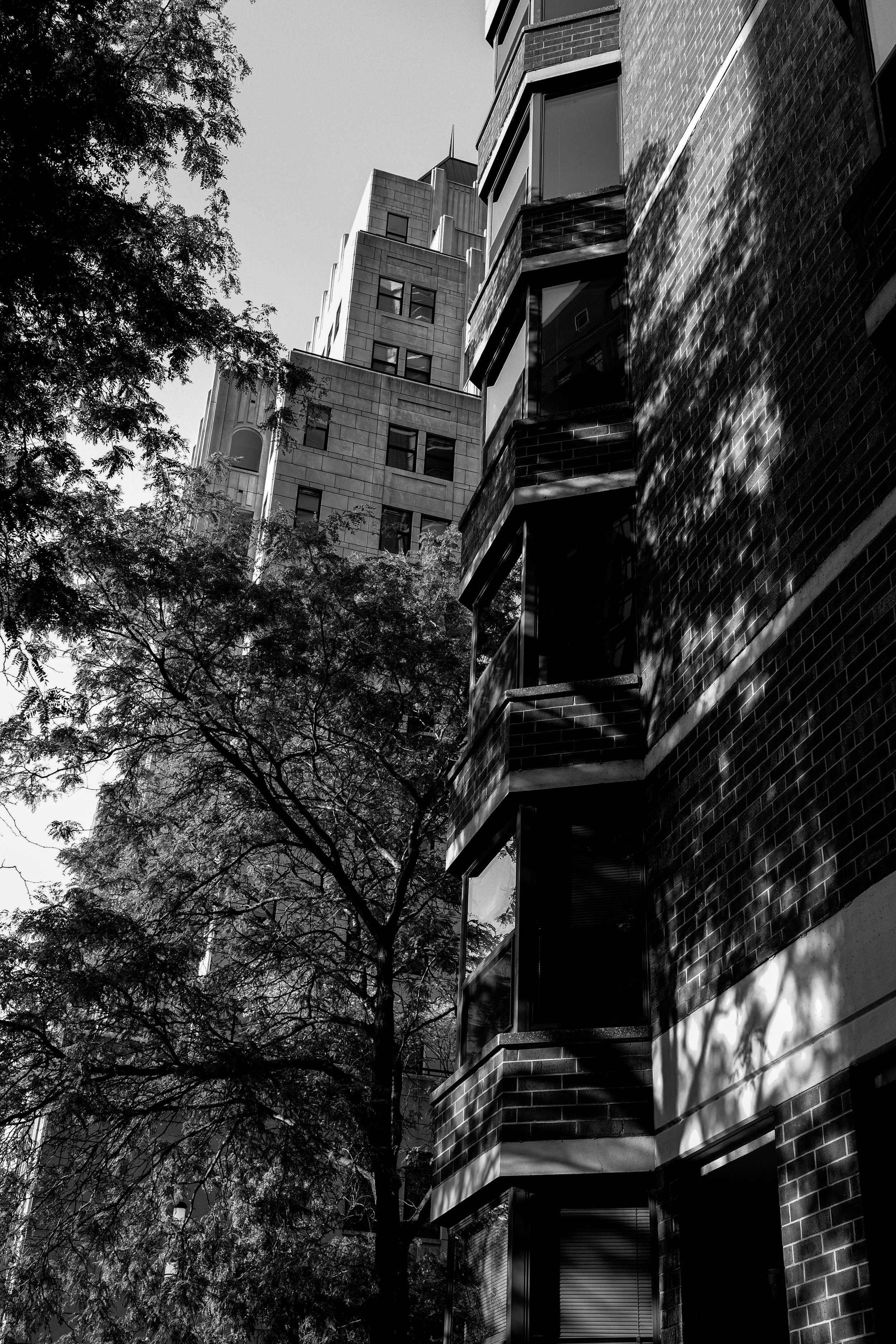 R0001745.jpg