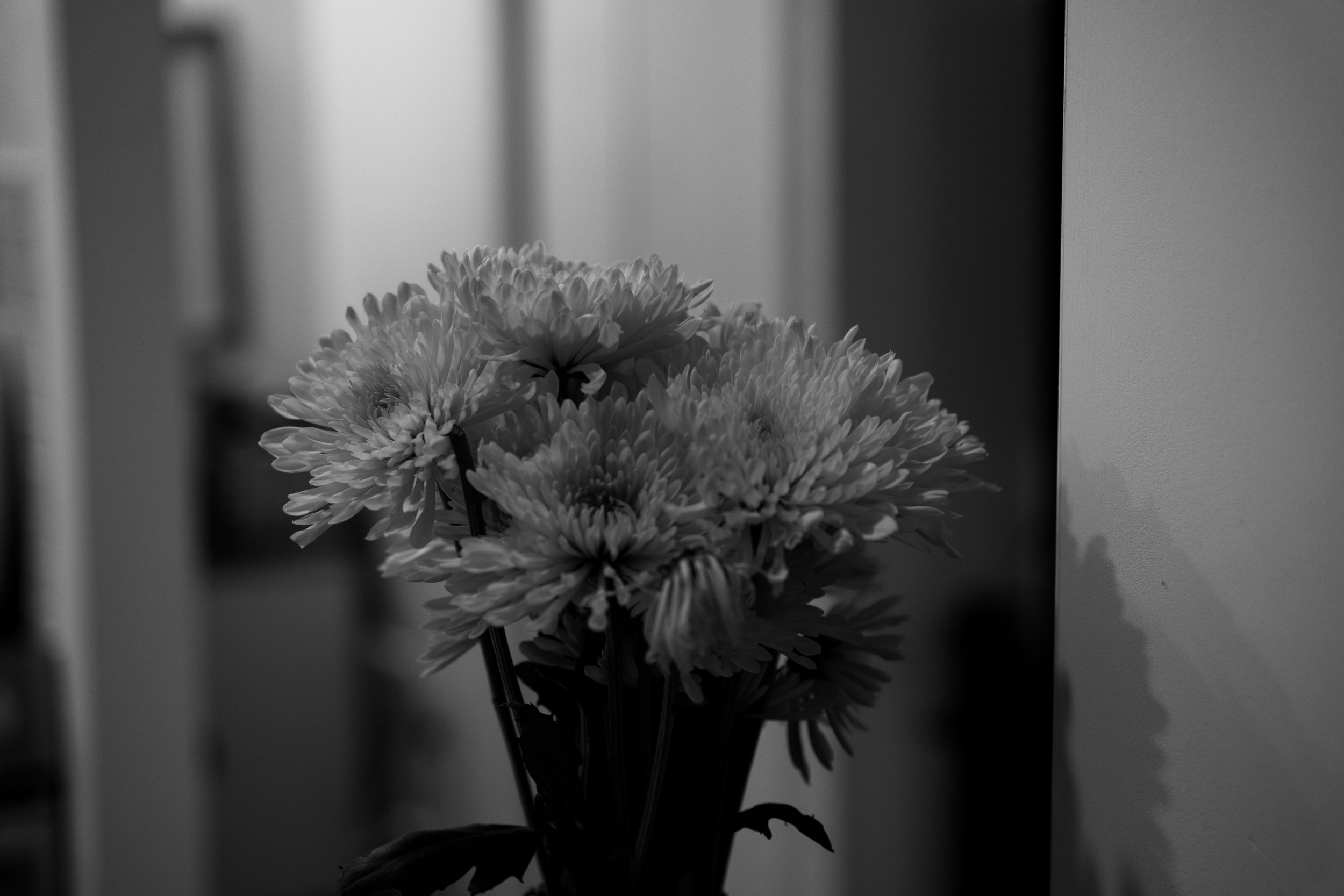 DSCF0751.jpg