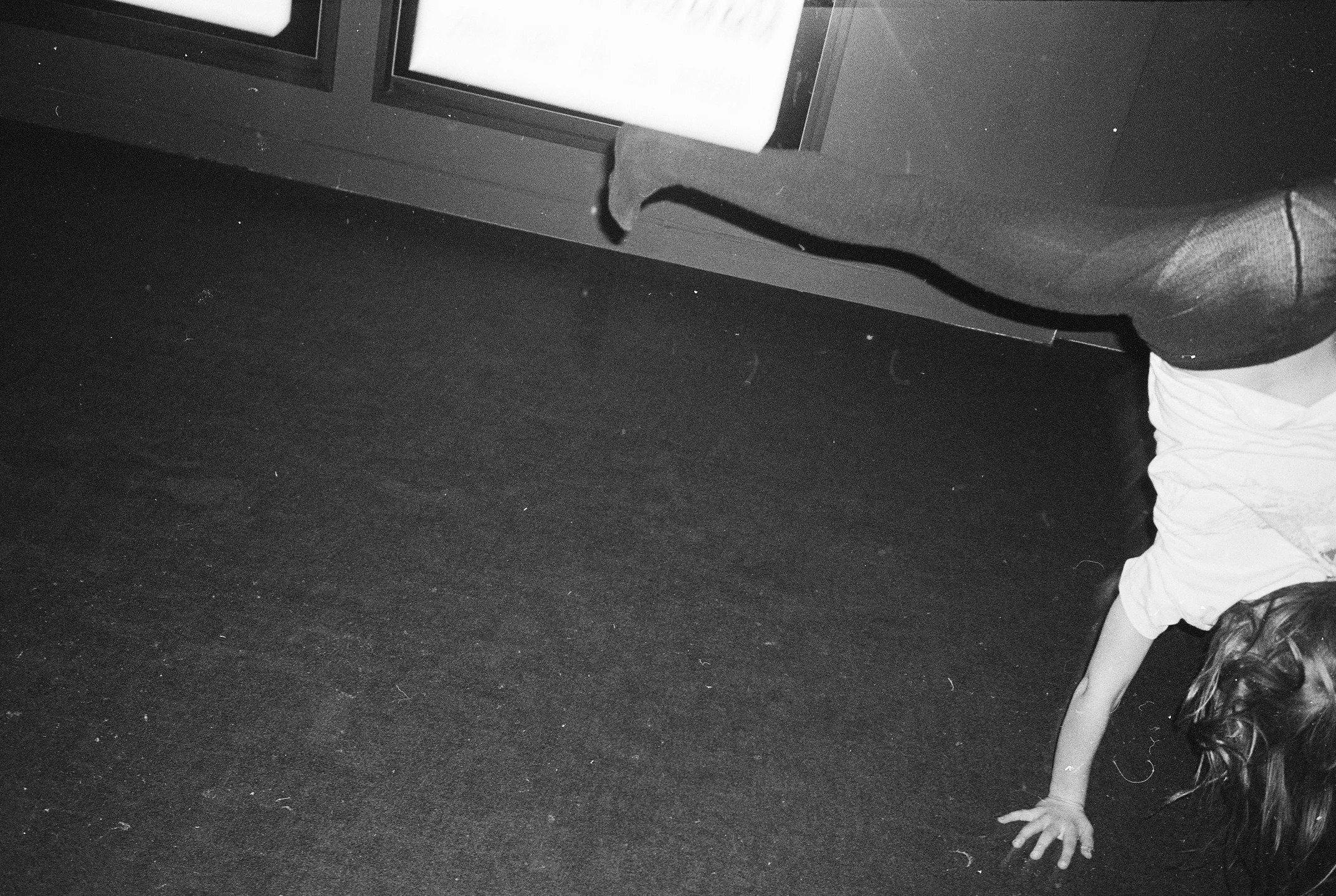 You know what time it is??? Holiday time!!!! Let's all do a cartwheel!