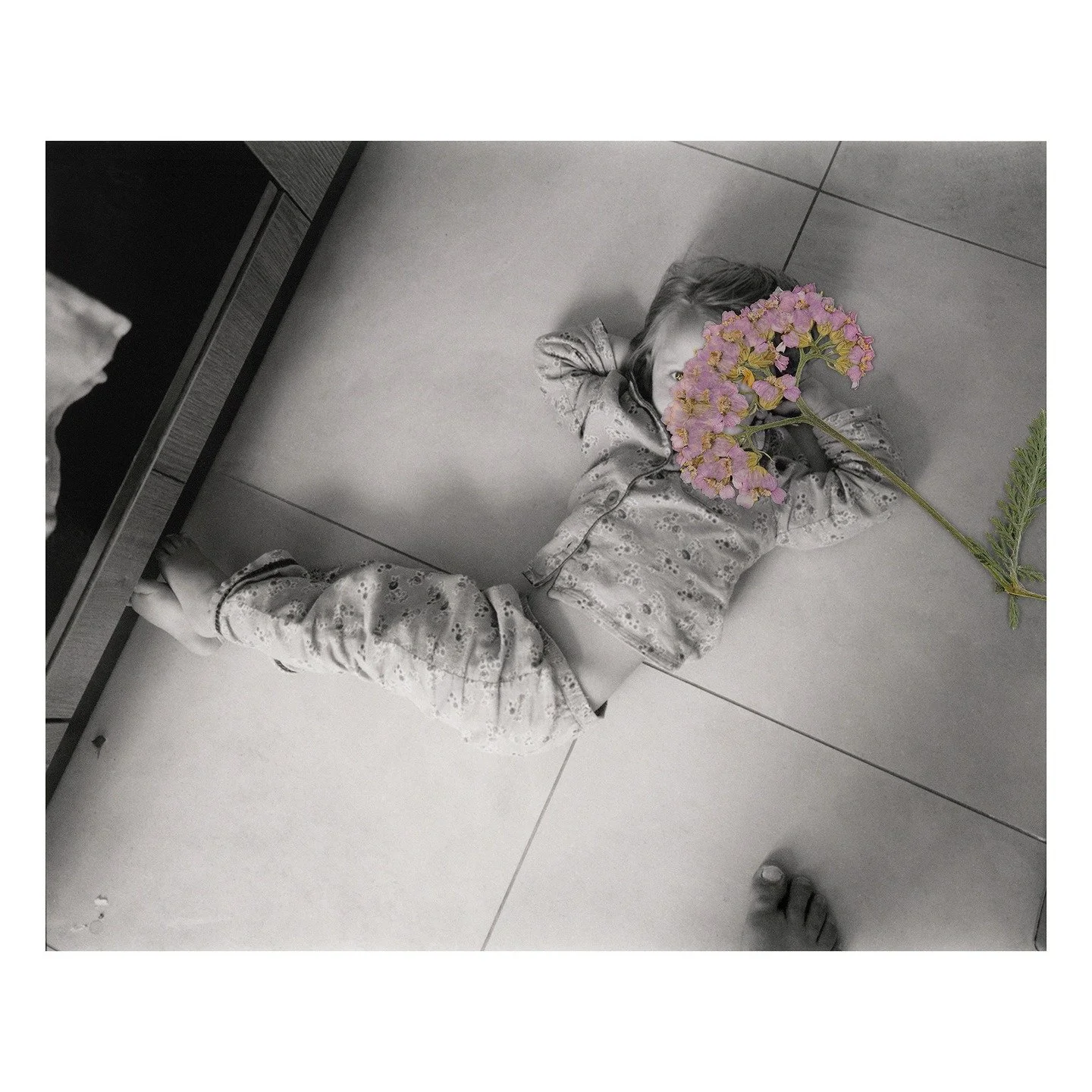 Another glimpse of a new project that I've been working for the last 3 or 4 years...