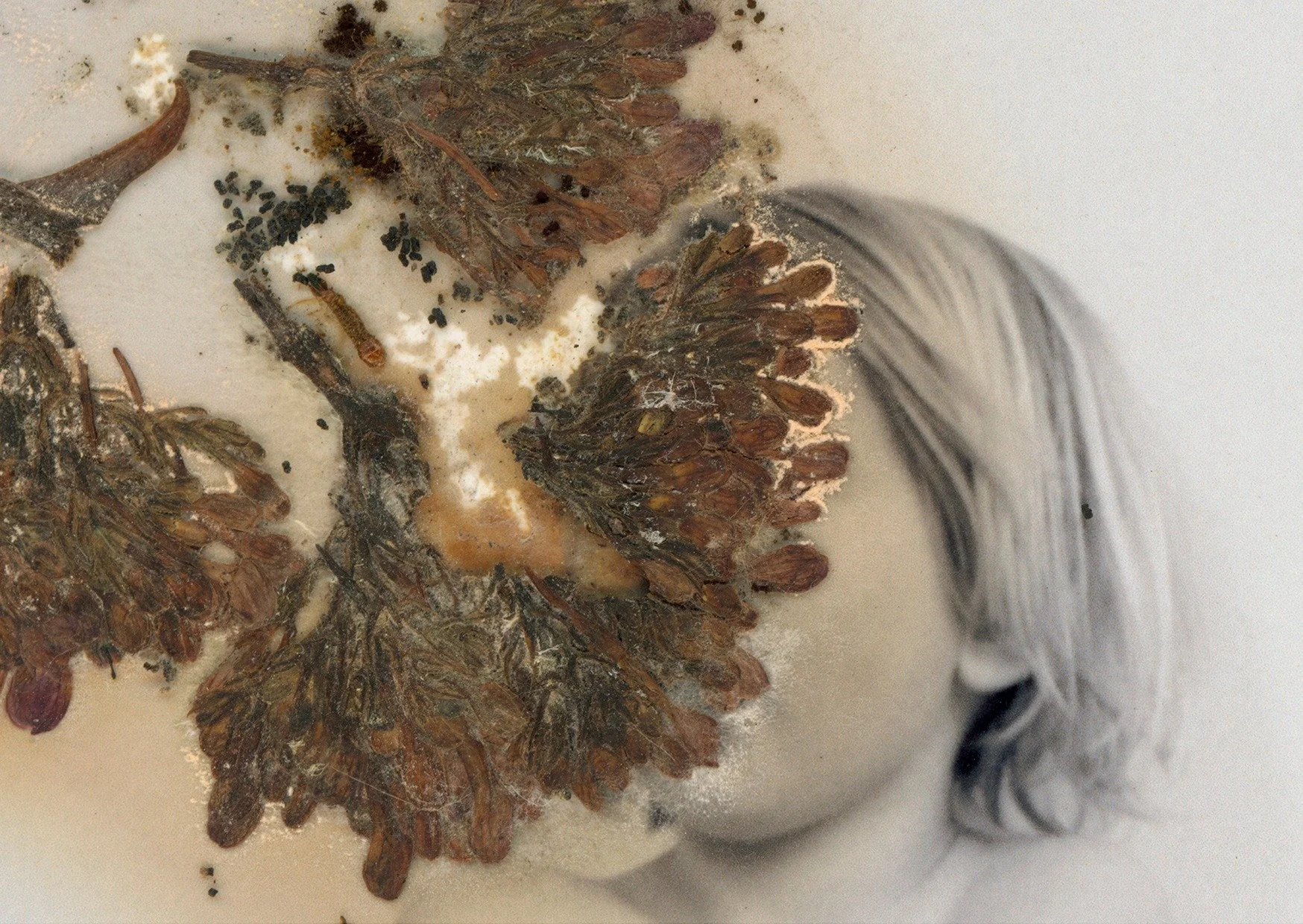 Have a great great weekend all!