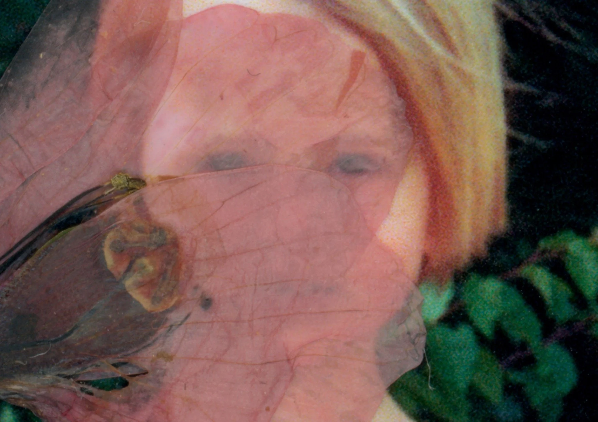 Prepping for @chicoreview