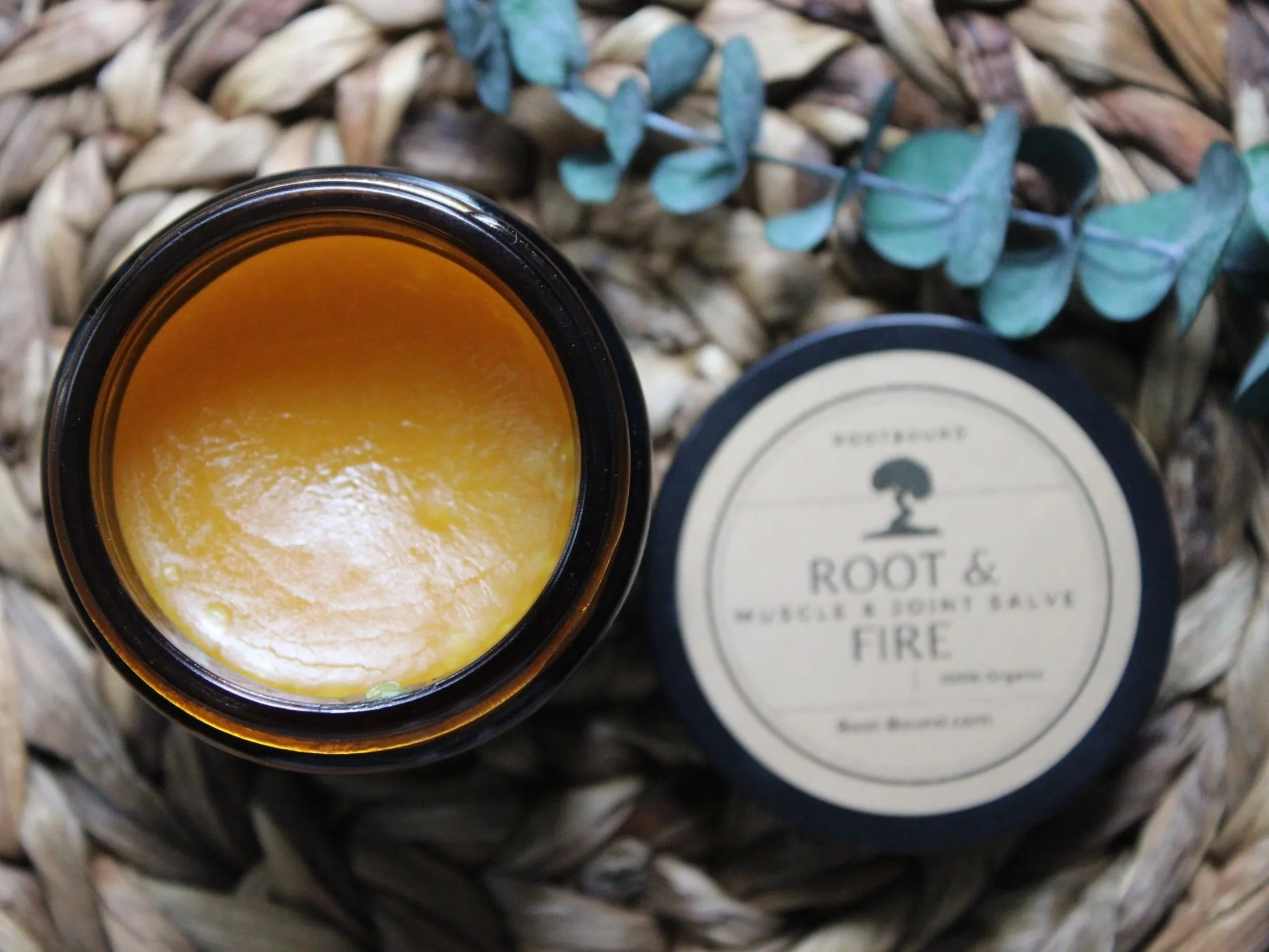 Root & Fire
