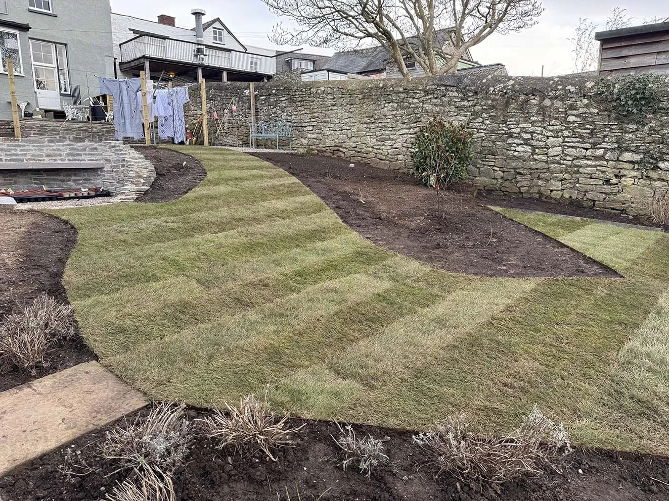 A backyard garden with newly laid sod grass, dirt patches, a raised brick platform, and a stone wall in the background, with laundry hanging on a clothesline.