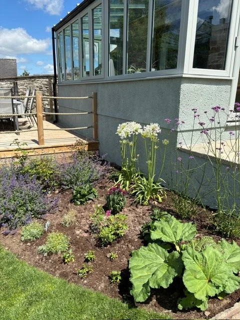 Garden with various plants and flowers next to a house with a porch and glass windows.