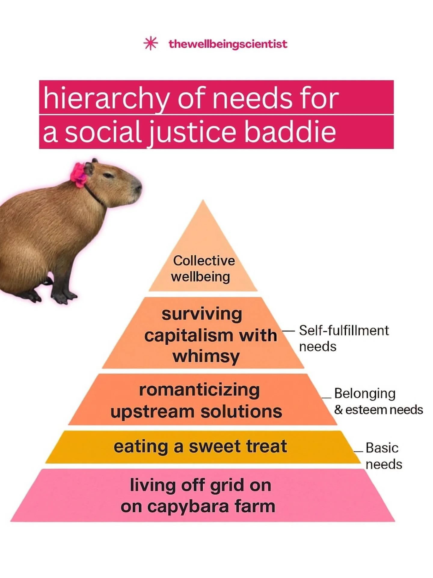 Take that Maslow who appropriated and misinterpreted the hierarchy of needs to suit colonial narratives. This version is🔥

Credit: thewellbeingscientist_ brb busy surviving late-stage capitalism with whimsy 💅💗💕✨

✨ Eat the sweet treat
✨ Romantici