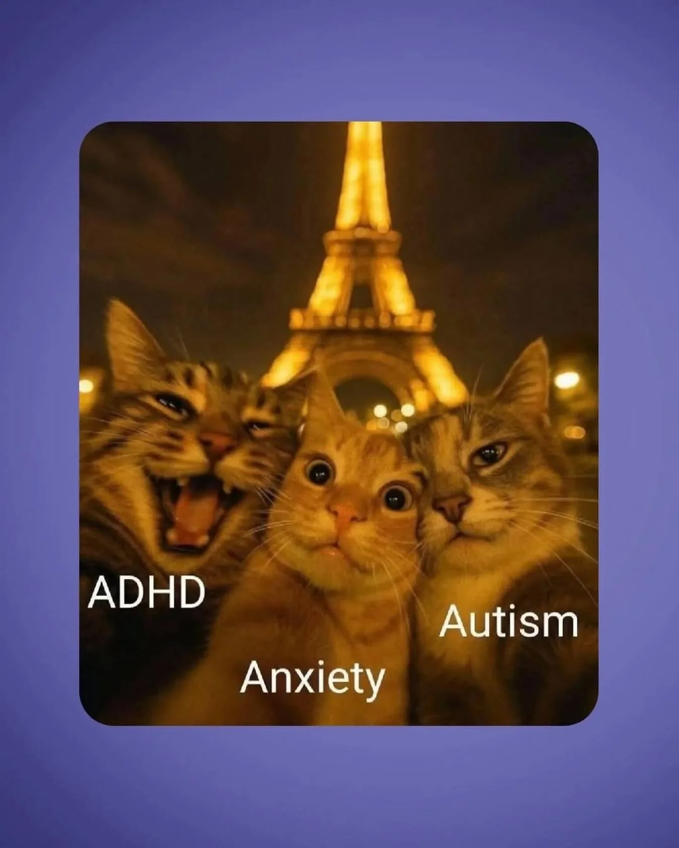 Why we&rsquo;re talking about emotional regulation at our neuroaffirmative support group next week😎 See you there🌱