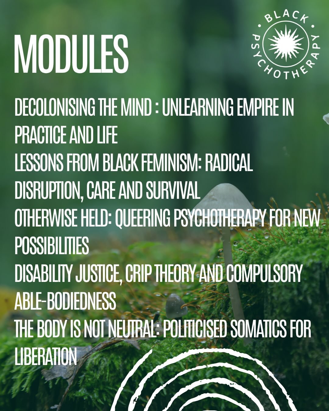 Our Certificate in Anti-Oppressive Practice includes 10 modules of practice-based, politicised learning that invites us  to think far beyond what is taught in mainstream psychology spaces as we interrogate how we get free and support those around us 
