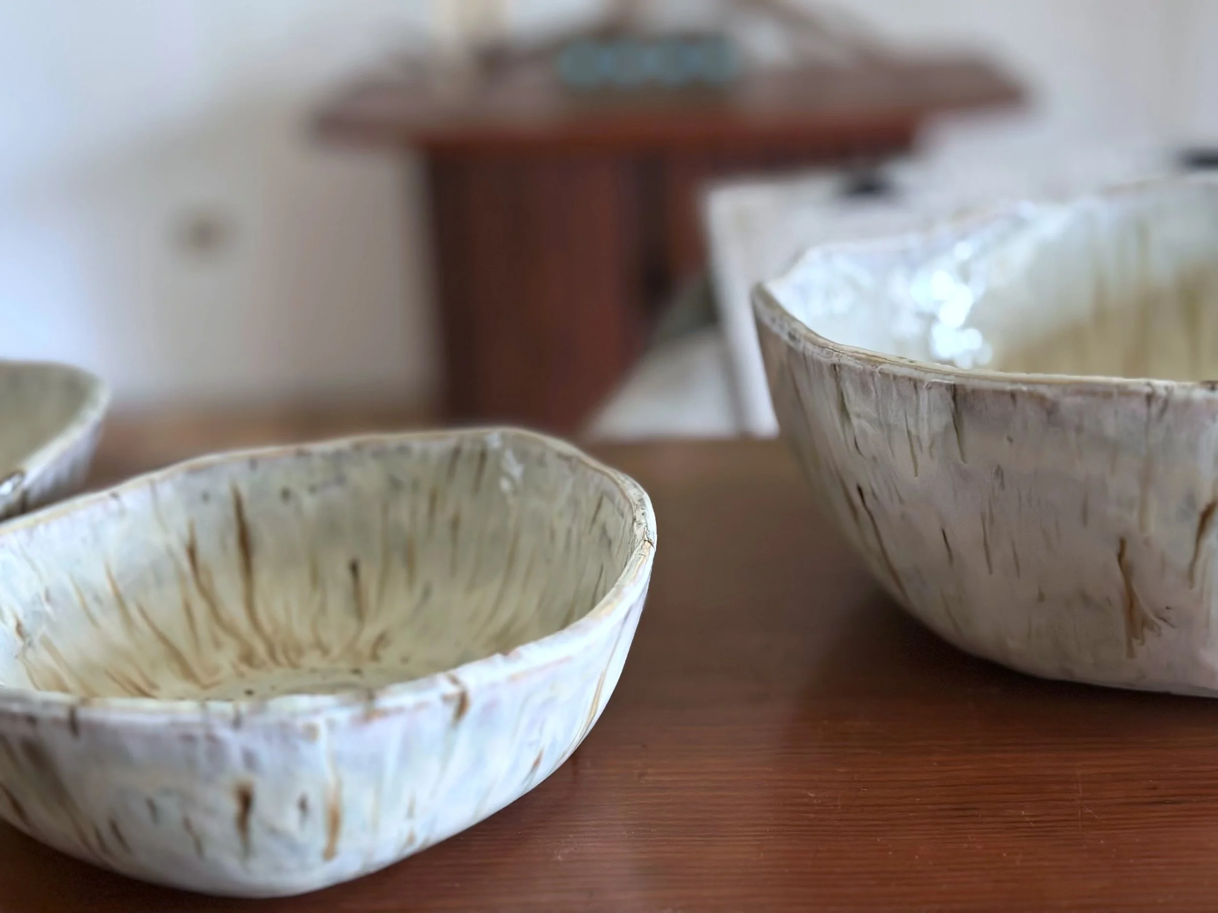 medium and large Bowl from the Aspen Bark Colleciton by Yellowsotneware by jesse fales copy.jpg