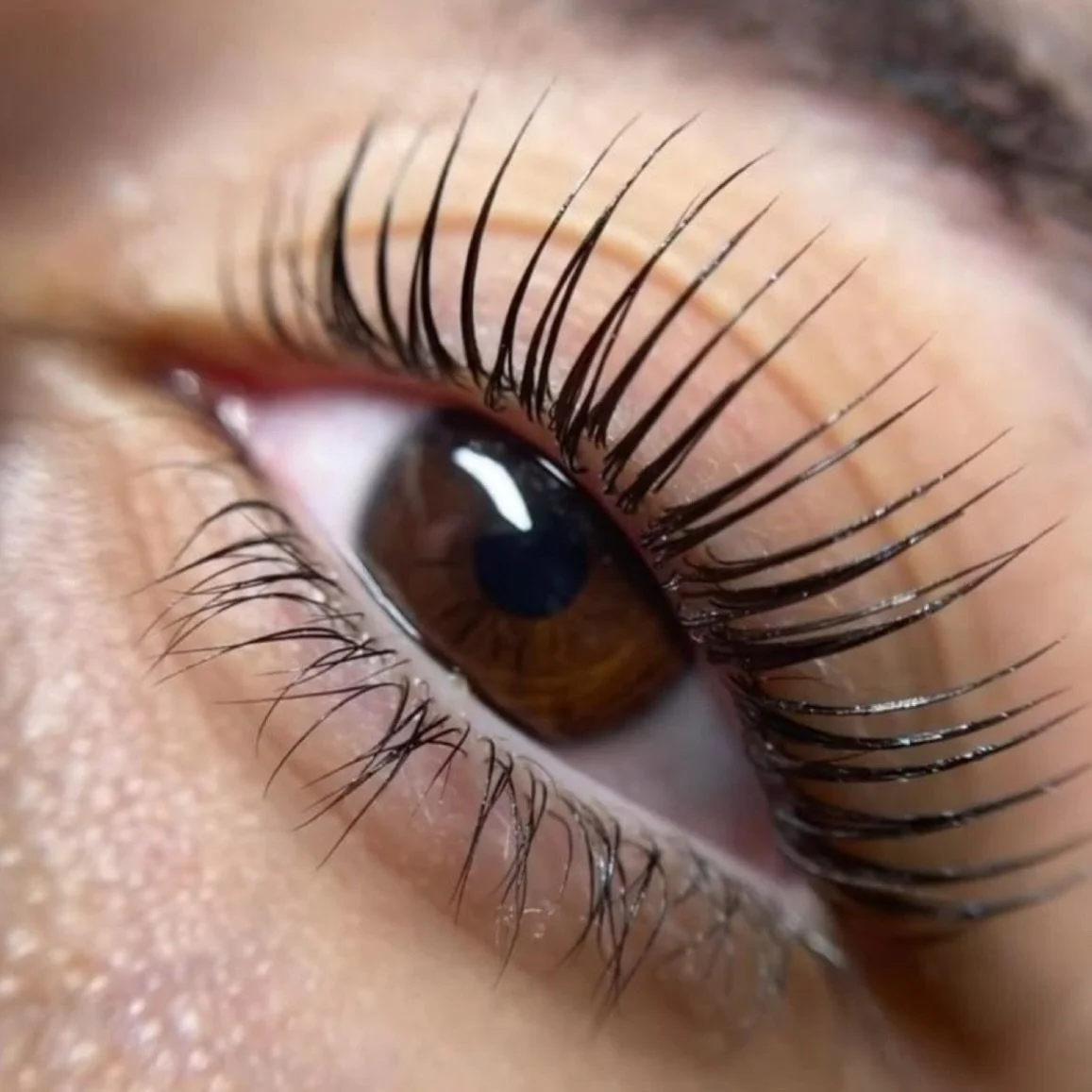 We have been booking SO many Korean Lash Lifts and we are genuinely obsessed 😍

$99 SPECIAL 🎀
First 10 spots only.

Once they&rsquo;re gone, they&rsquo;re gone.
Run&hellip; don&rsquo;t walk.

Book now 🤍
#koreanlashlift #njsalon #njlashartist #njde