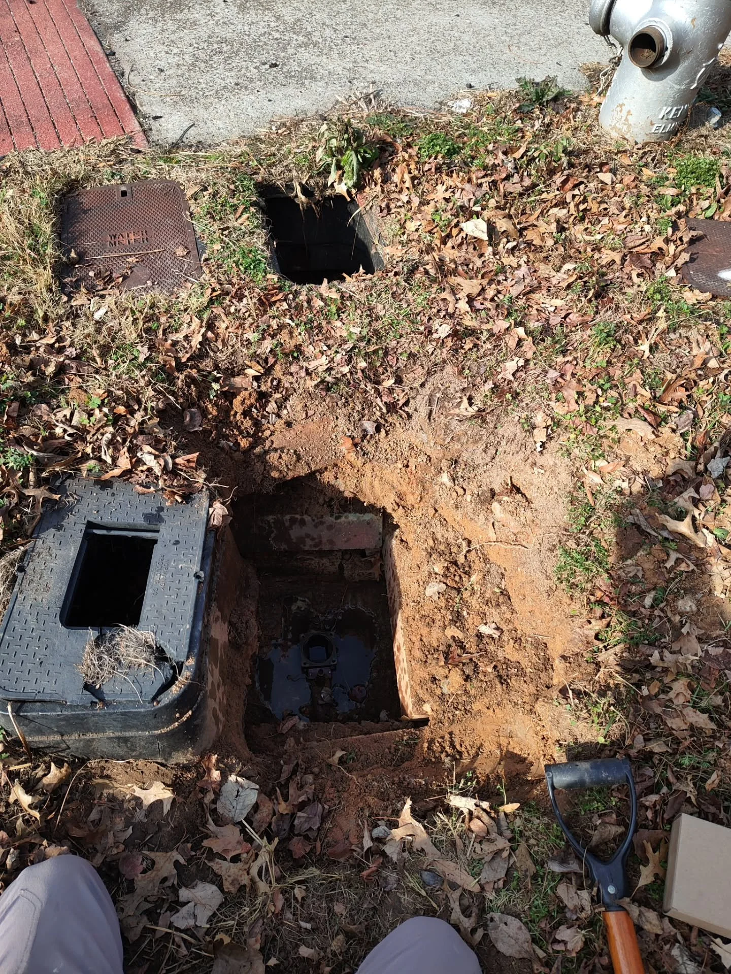 Been busy hitting the ground running for 2026, which is why I haven't posted much! 
​But we wanted to hop on here and remind you: February compliance notices are hitting mailboxes right now 

If you opened your mail this weekend and saw a notice from