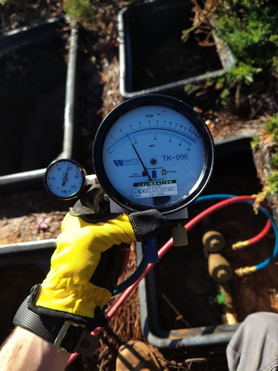 Backflow testing gauge with results