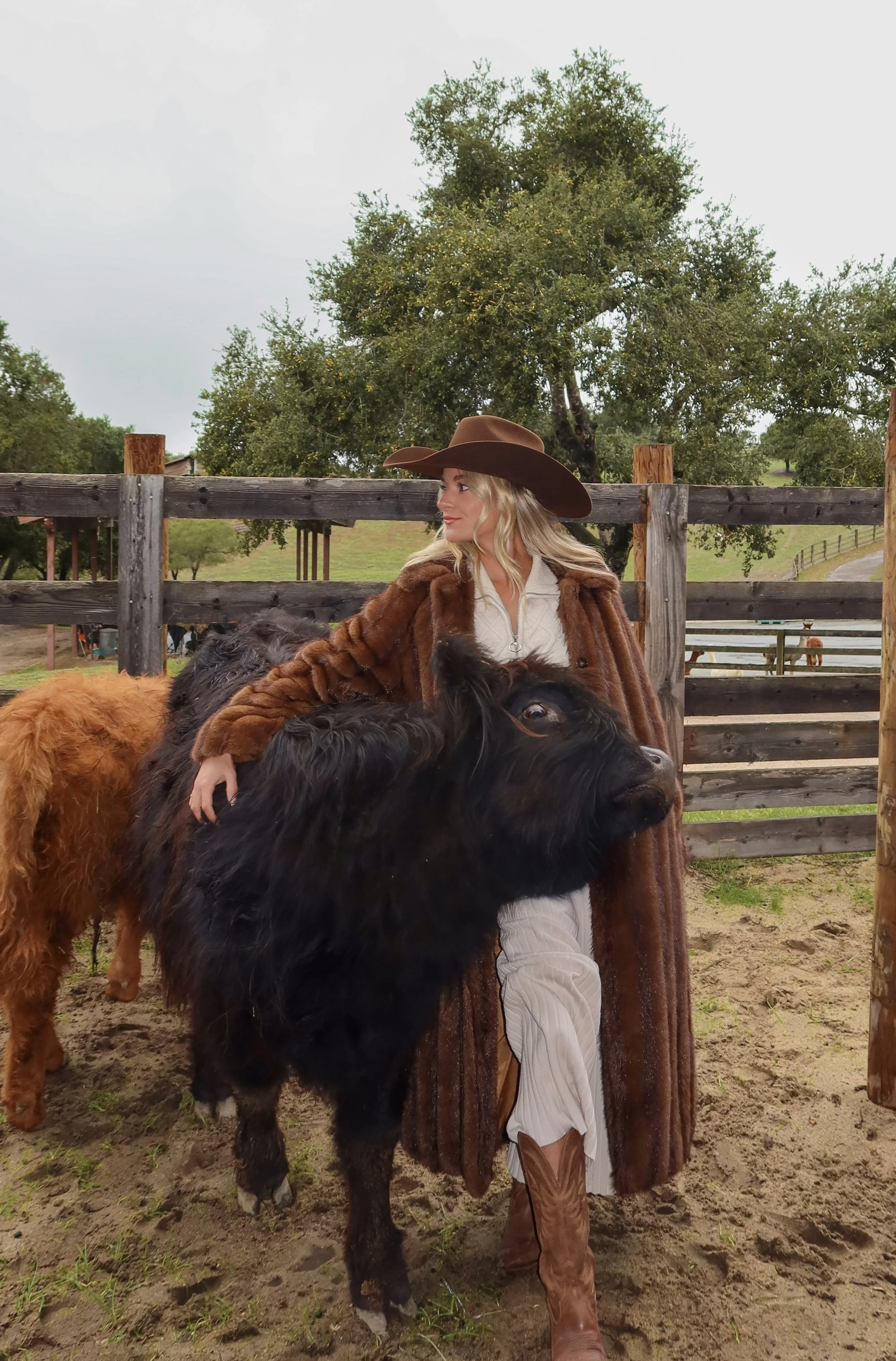 SR Fav Content Assets59.jpg