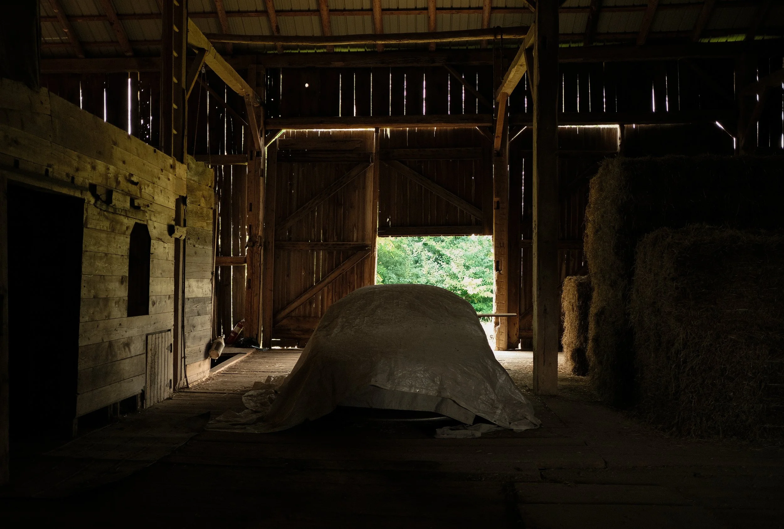DSCF0380.jpg