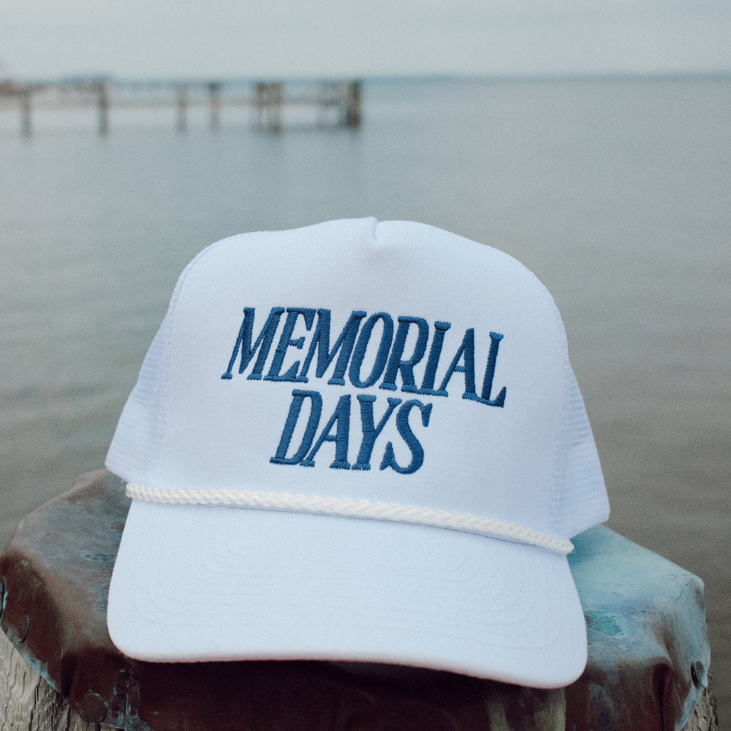 Memorial Day hat Memorial Day Cowboy Dog Baseball Cap – Openly Gay Animals main image 3