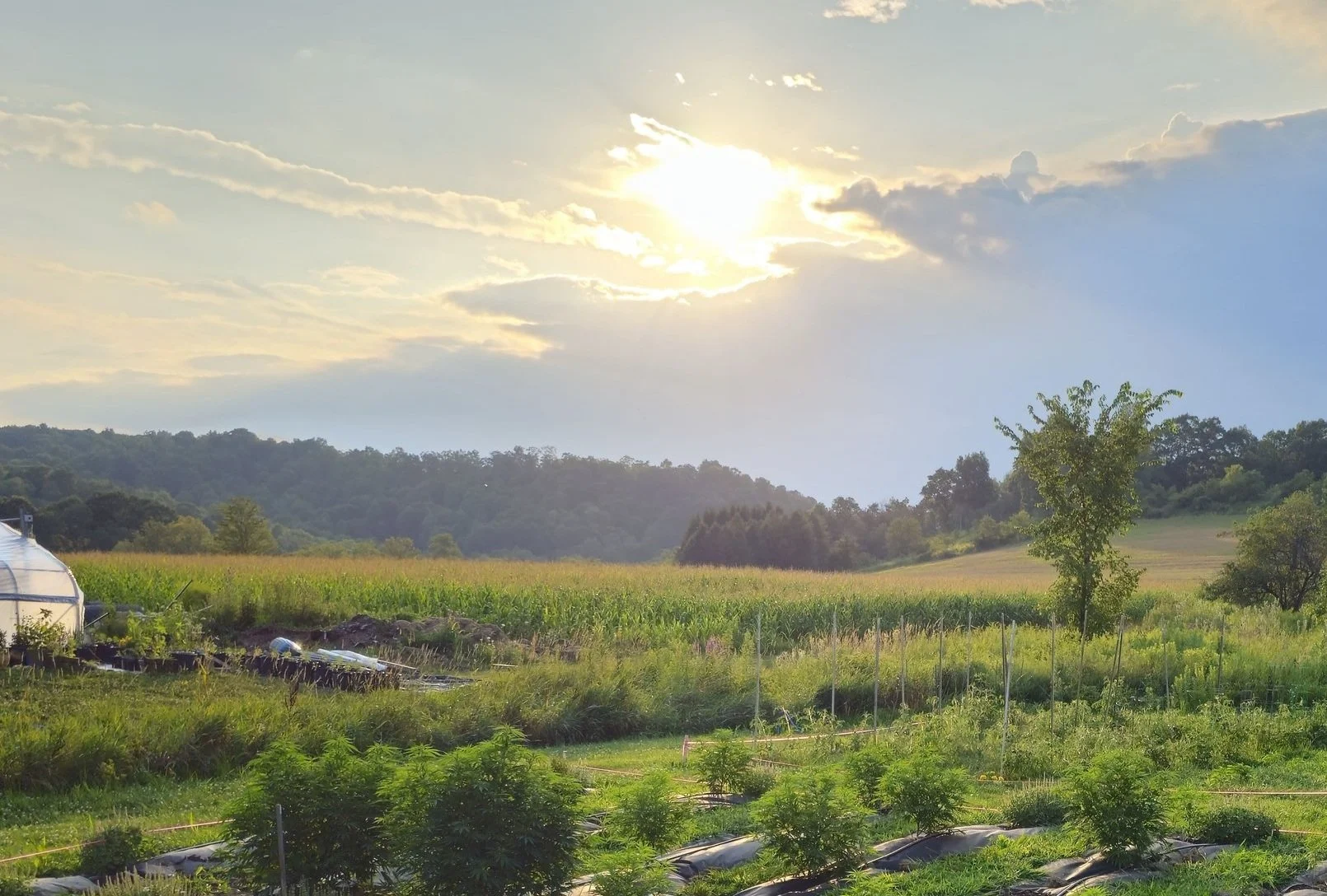 About — Lazy Moon Ranch